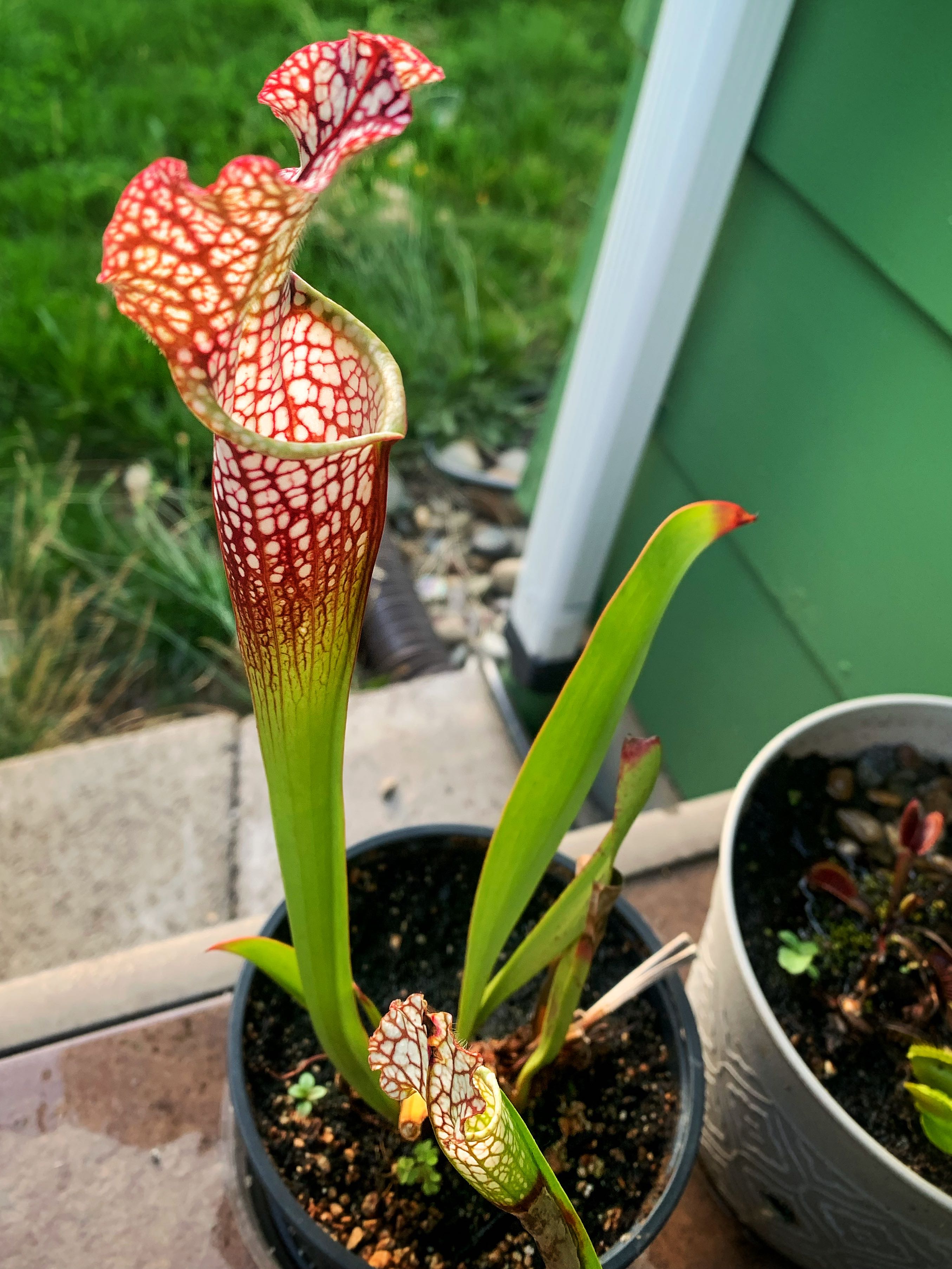 Photo from the post