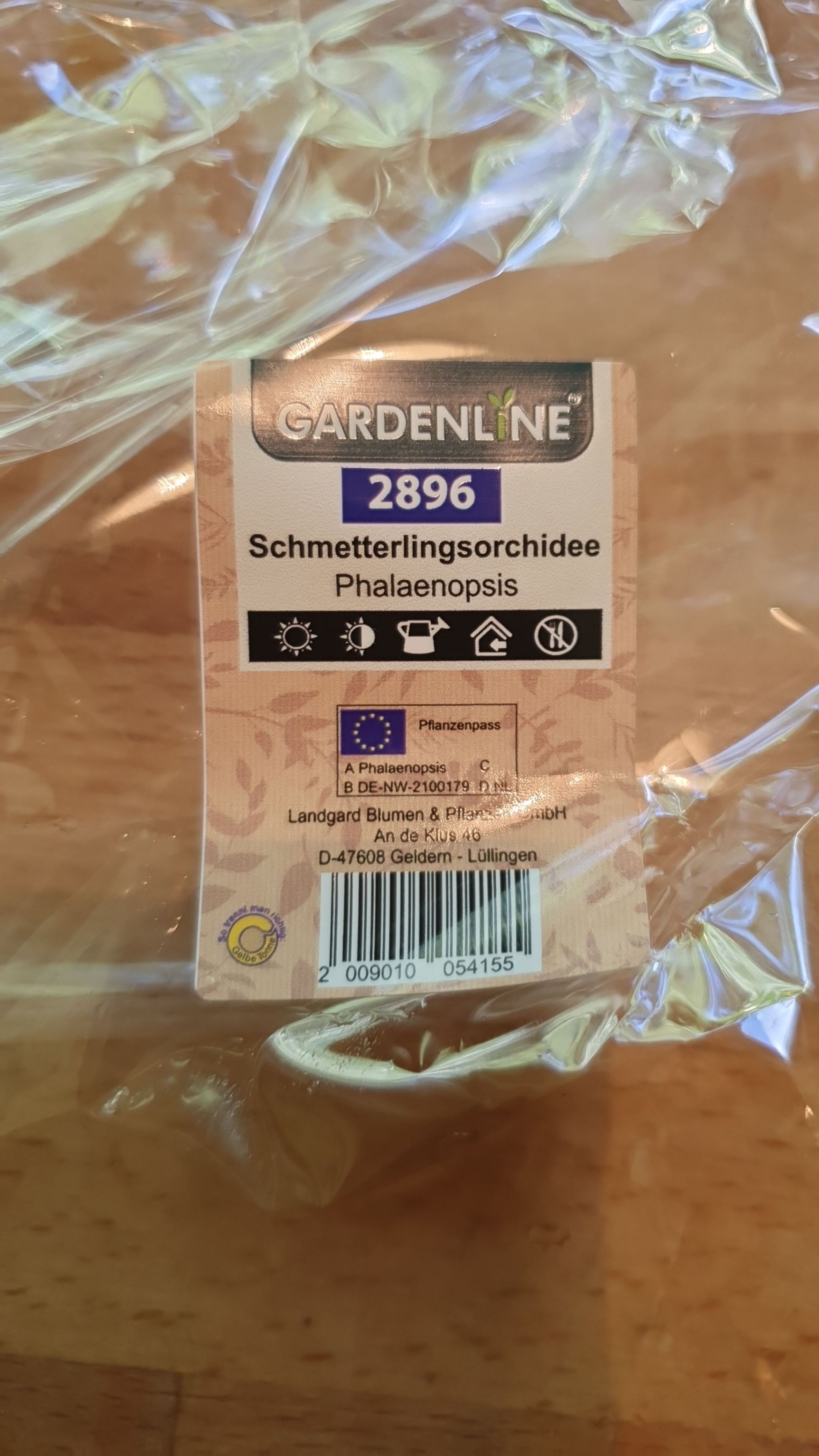 Photo from the post