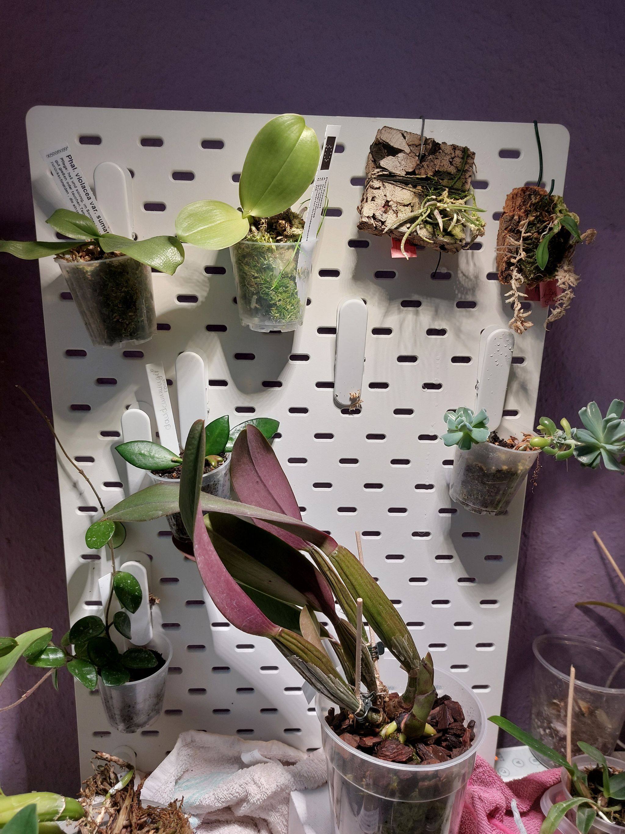 Photo from the post