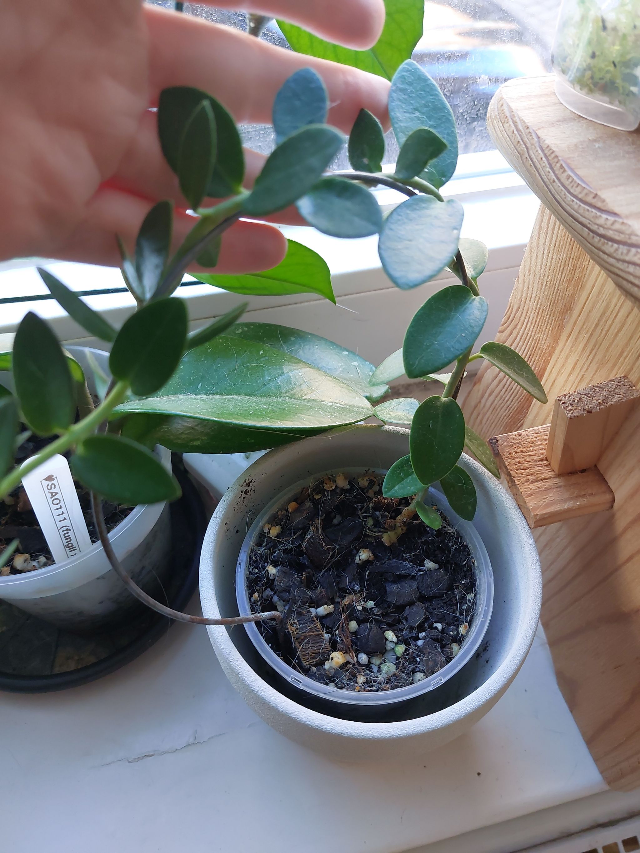 Photo from the post