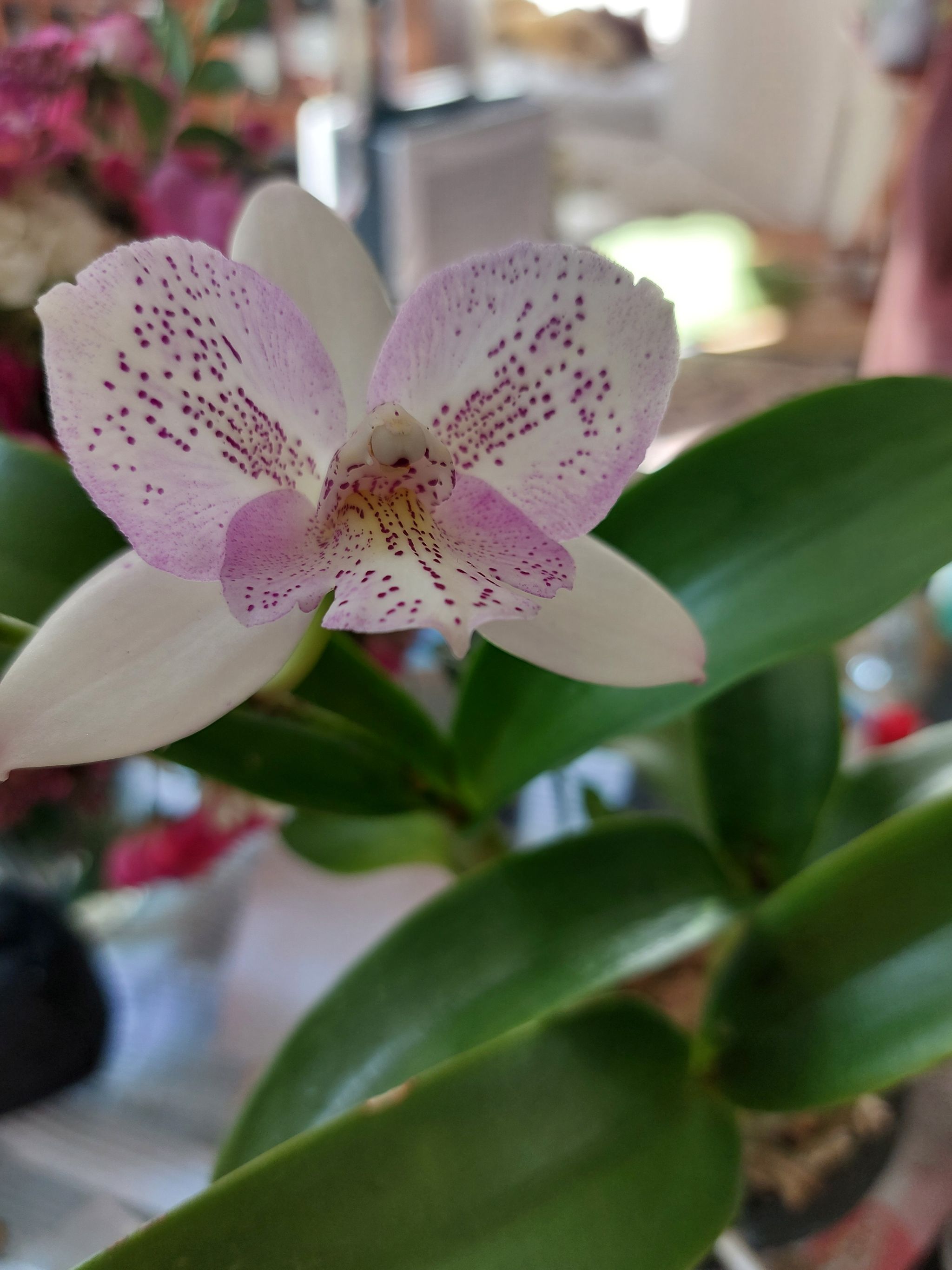 Photo from the post