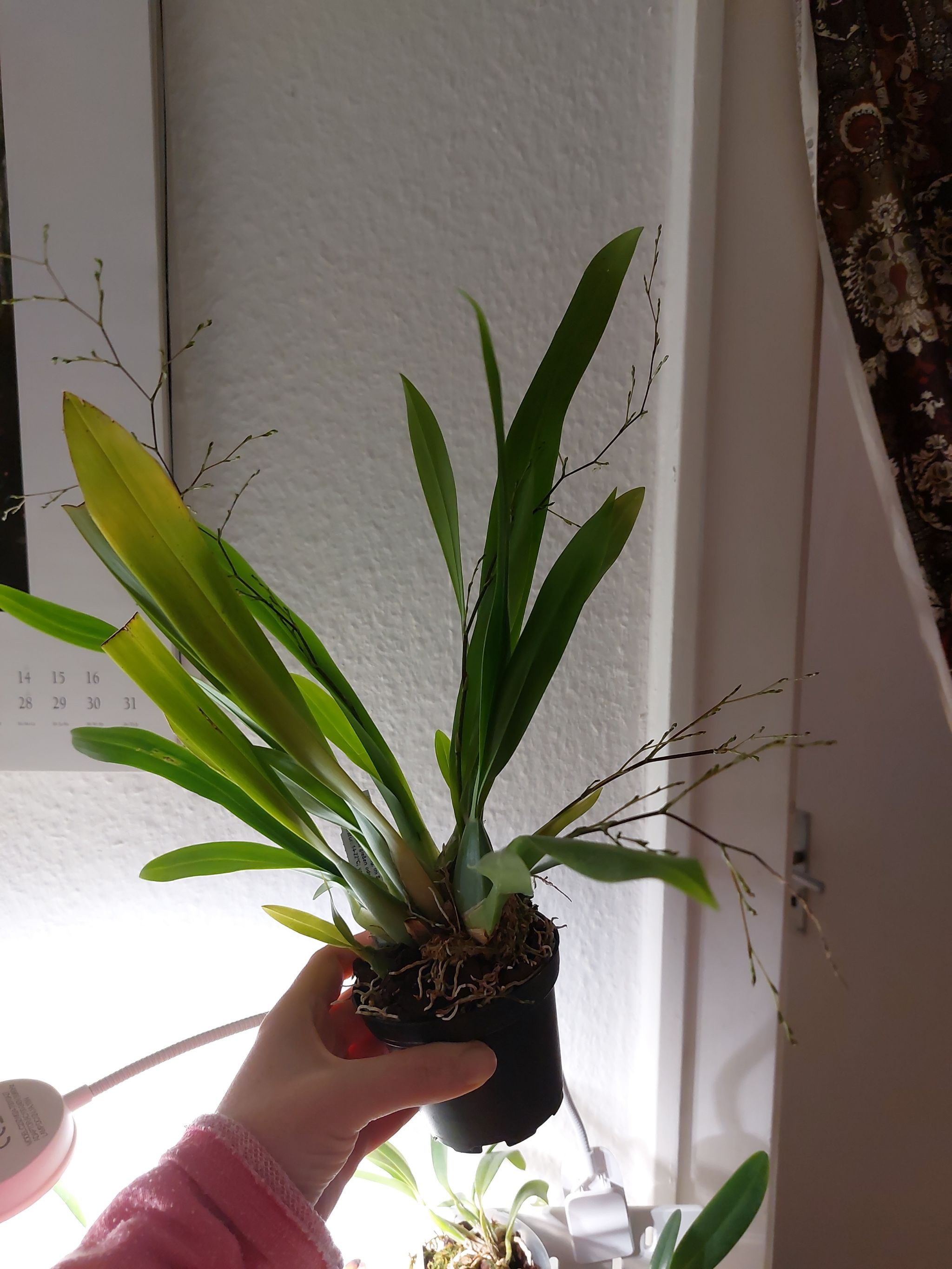 Photo from the post