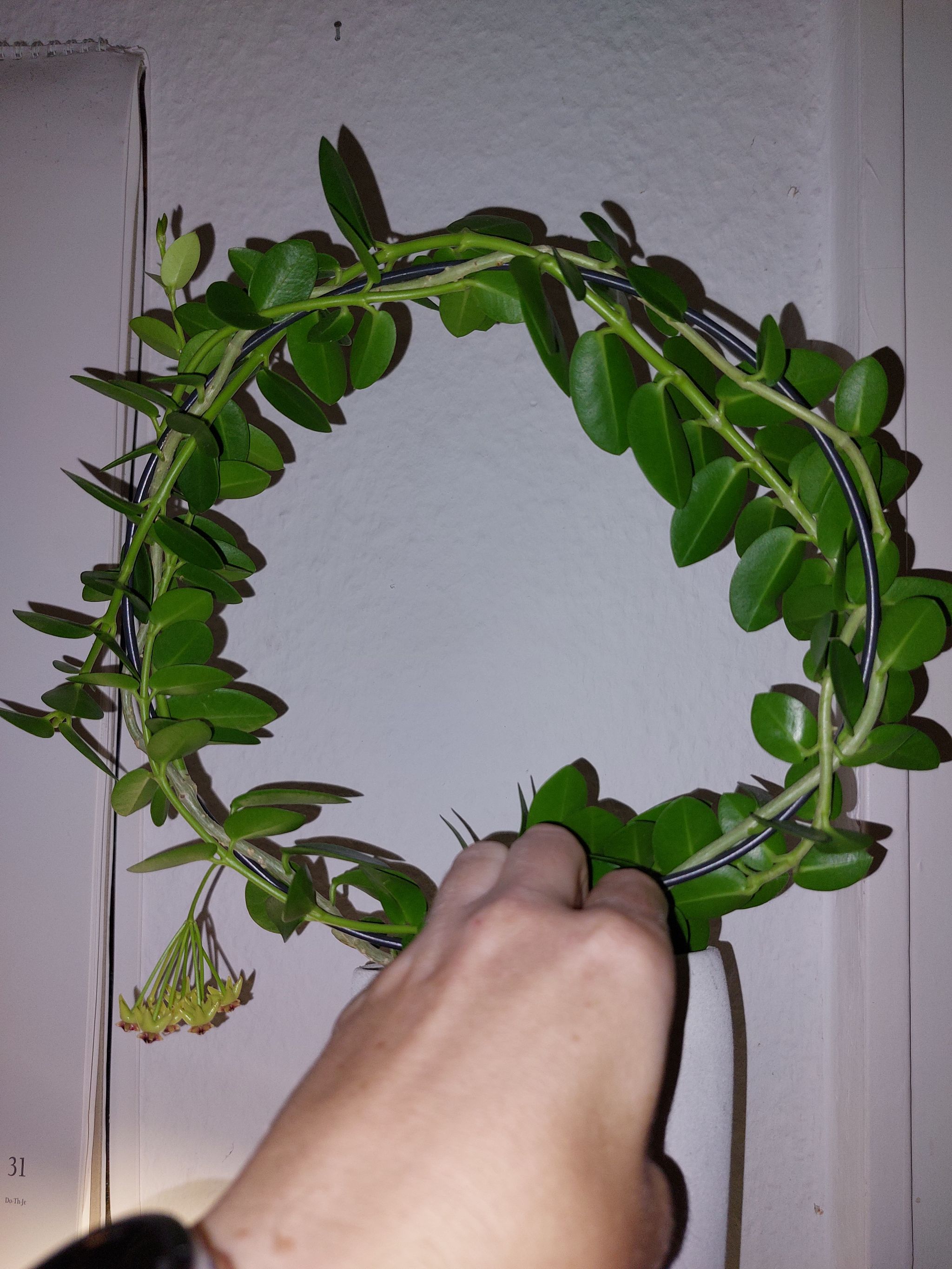 Photo from the post