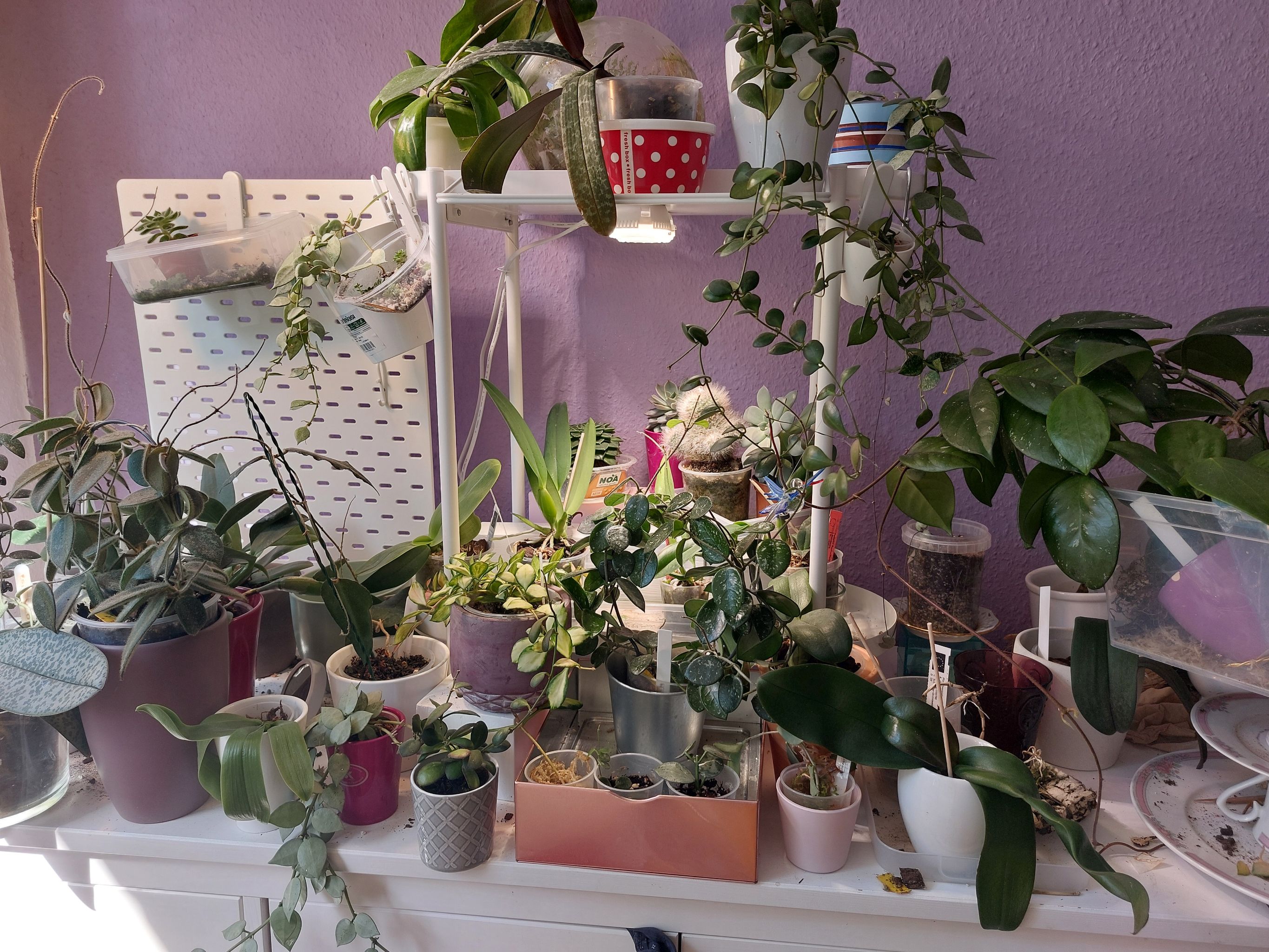 Photo from the post