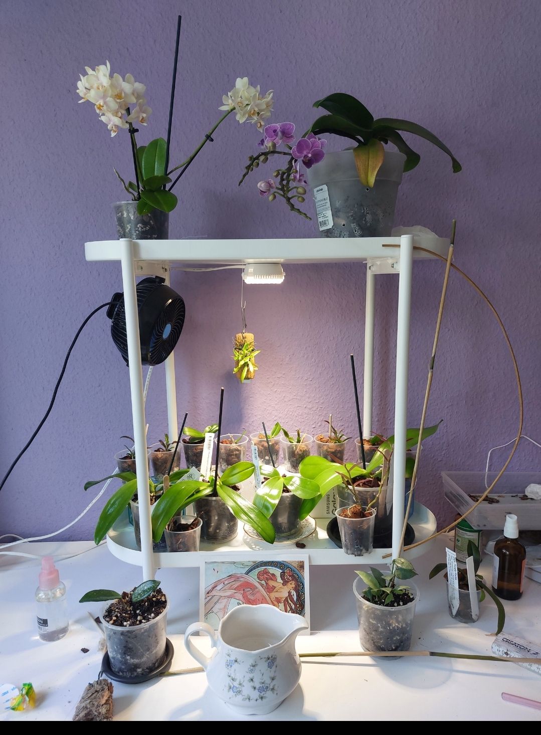 Photo from the post