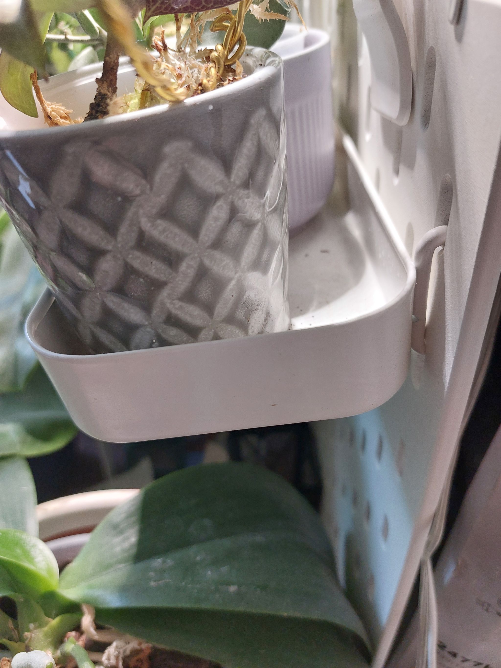 Photo from the post