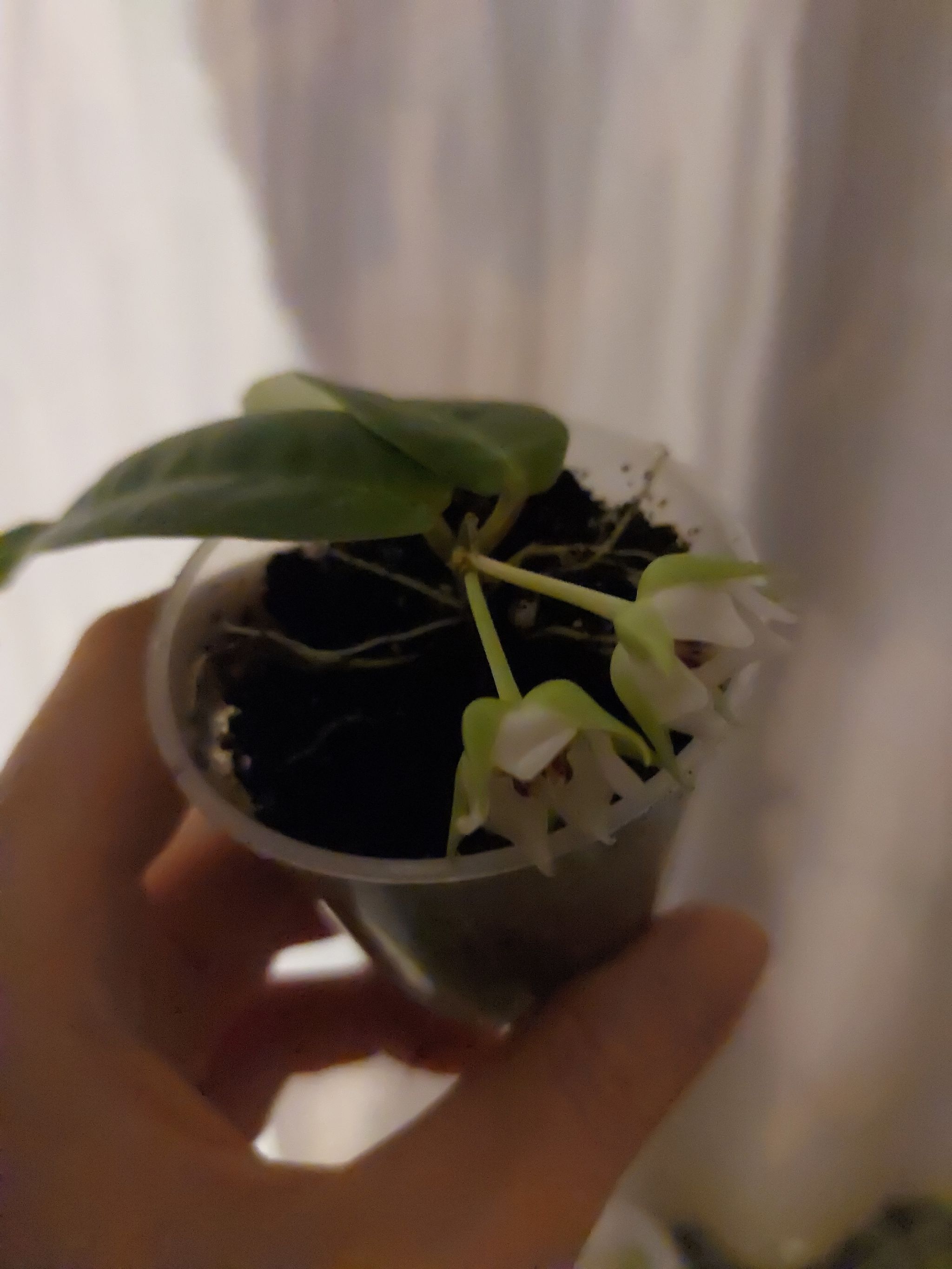 Photo from the post