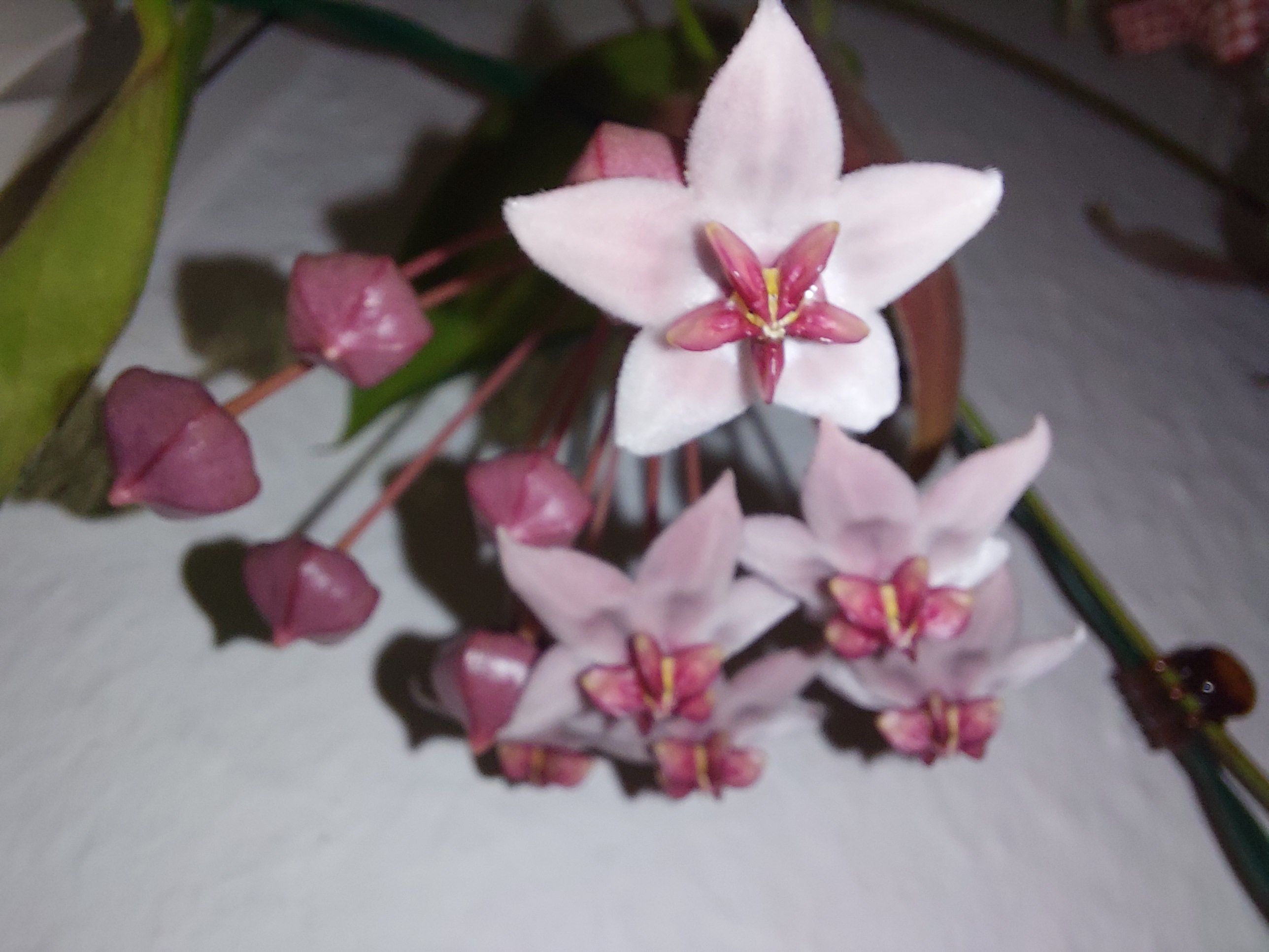 Photo from the post