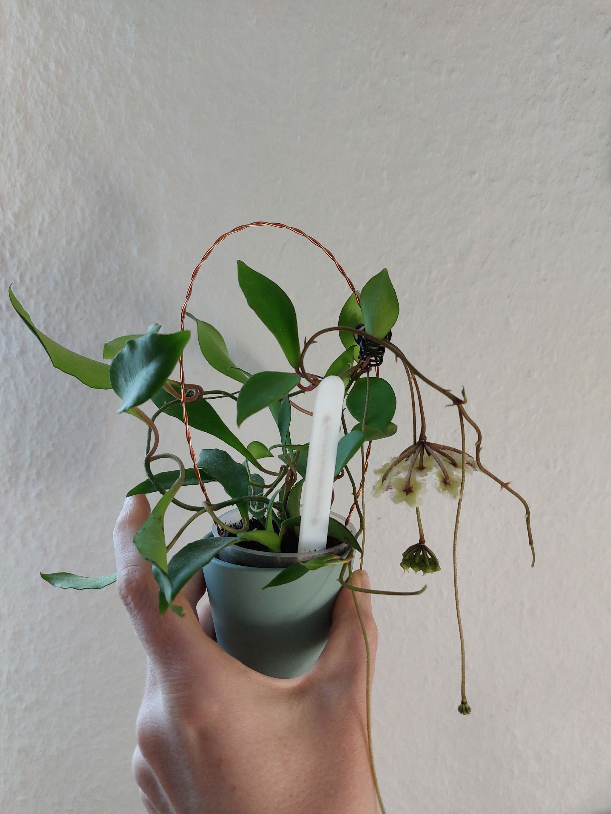 Photo from the post