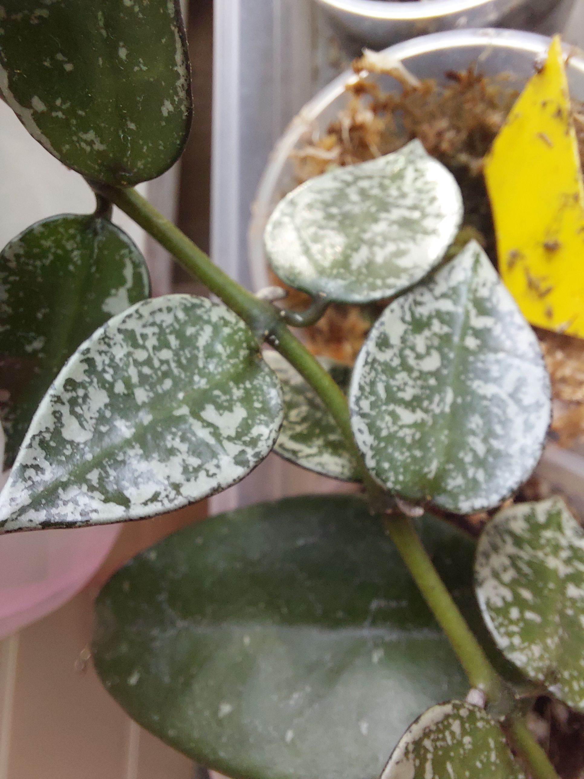 Photo from the post