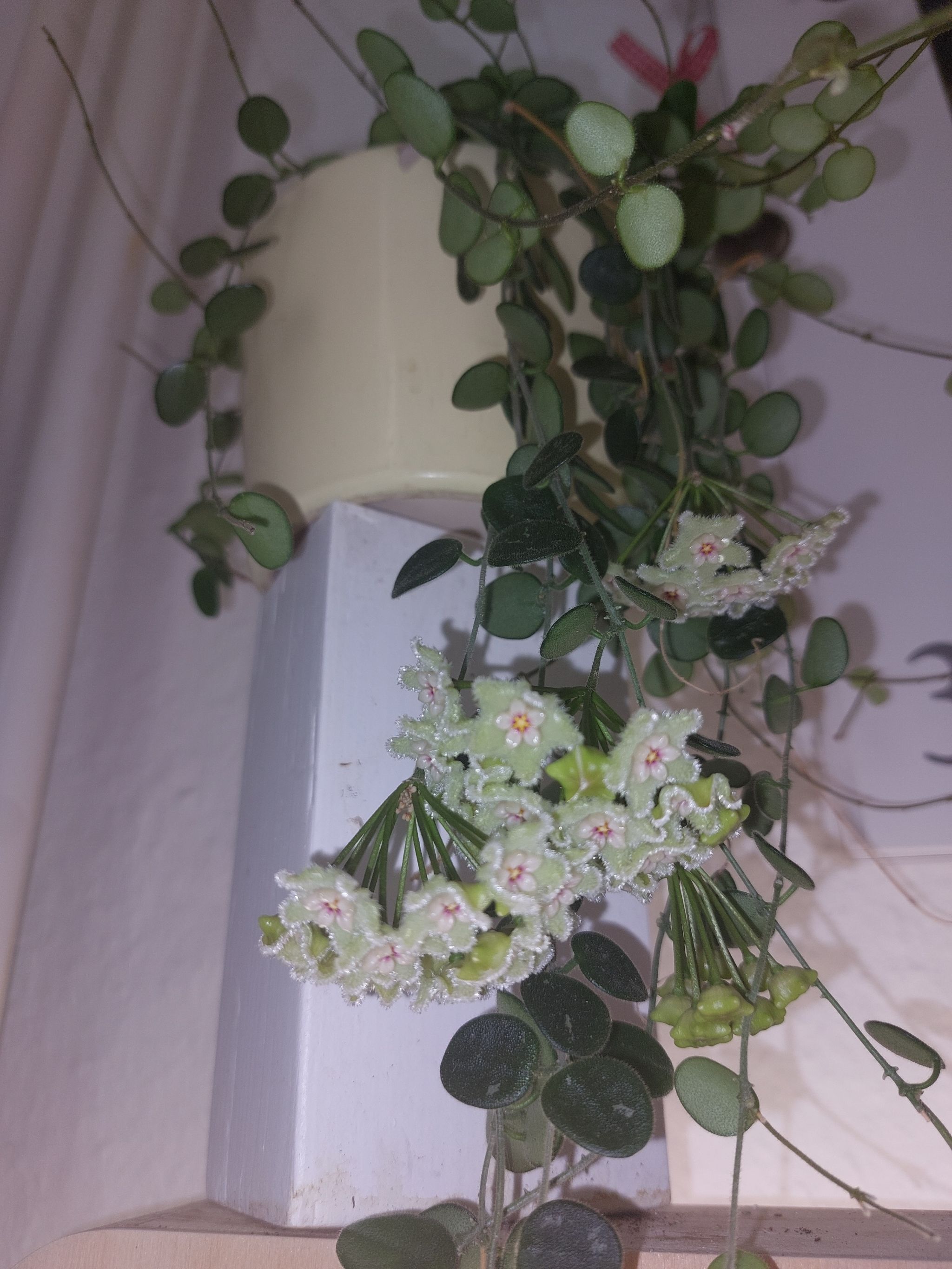 Photo from the post