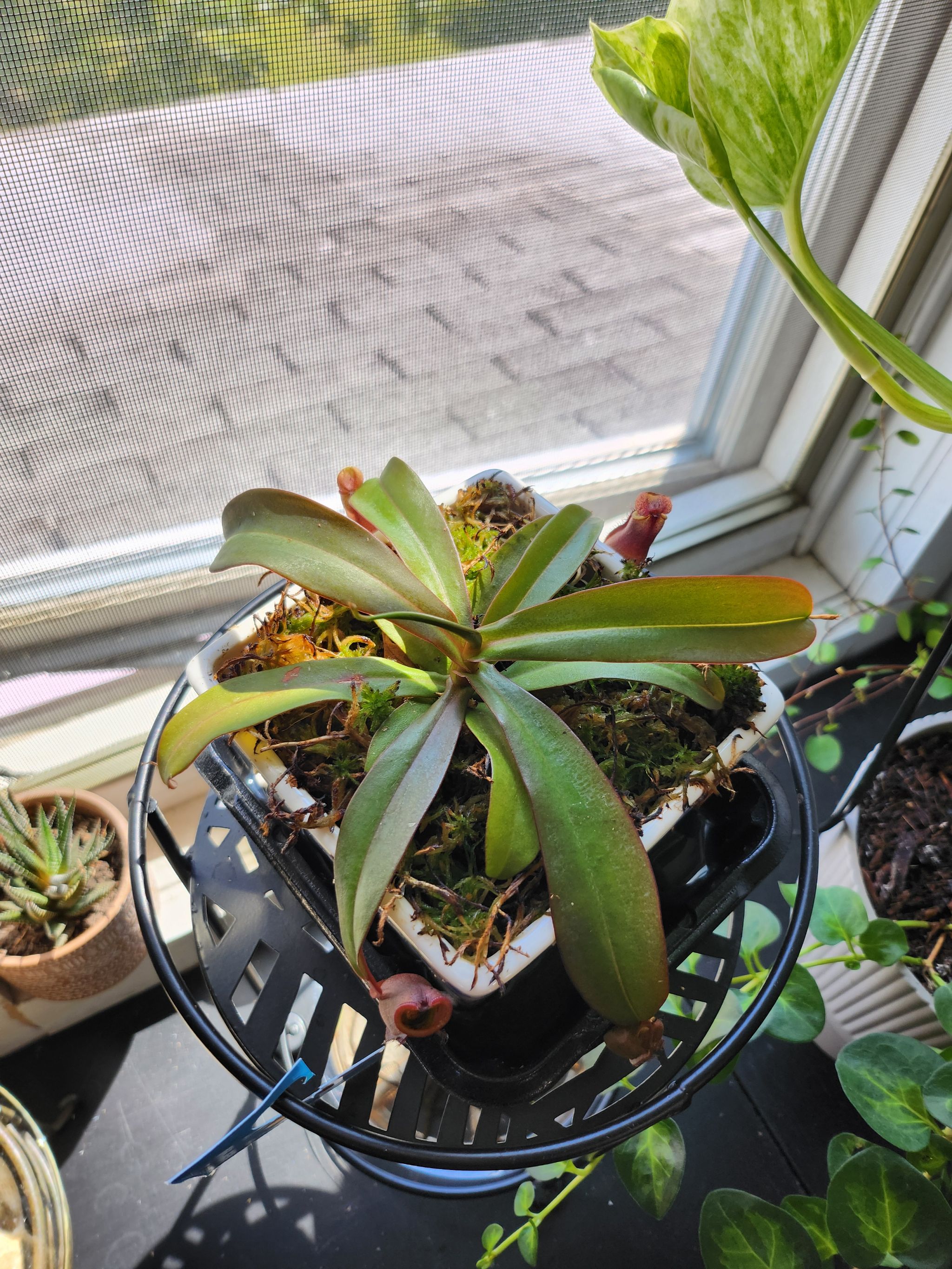 Photo from the post
