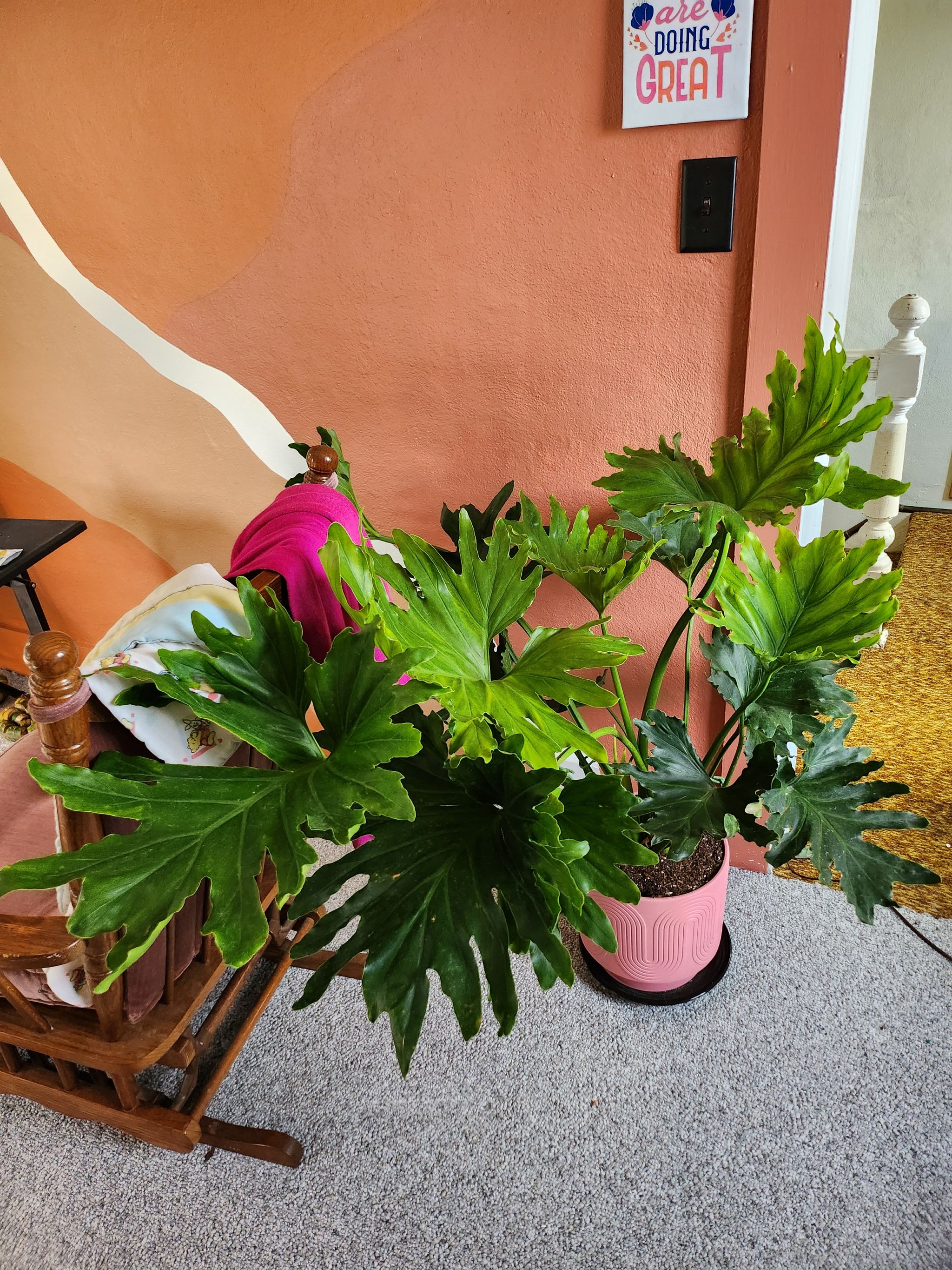 Photo from the post
