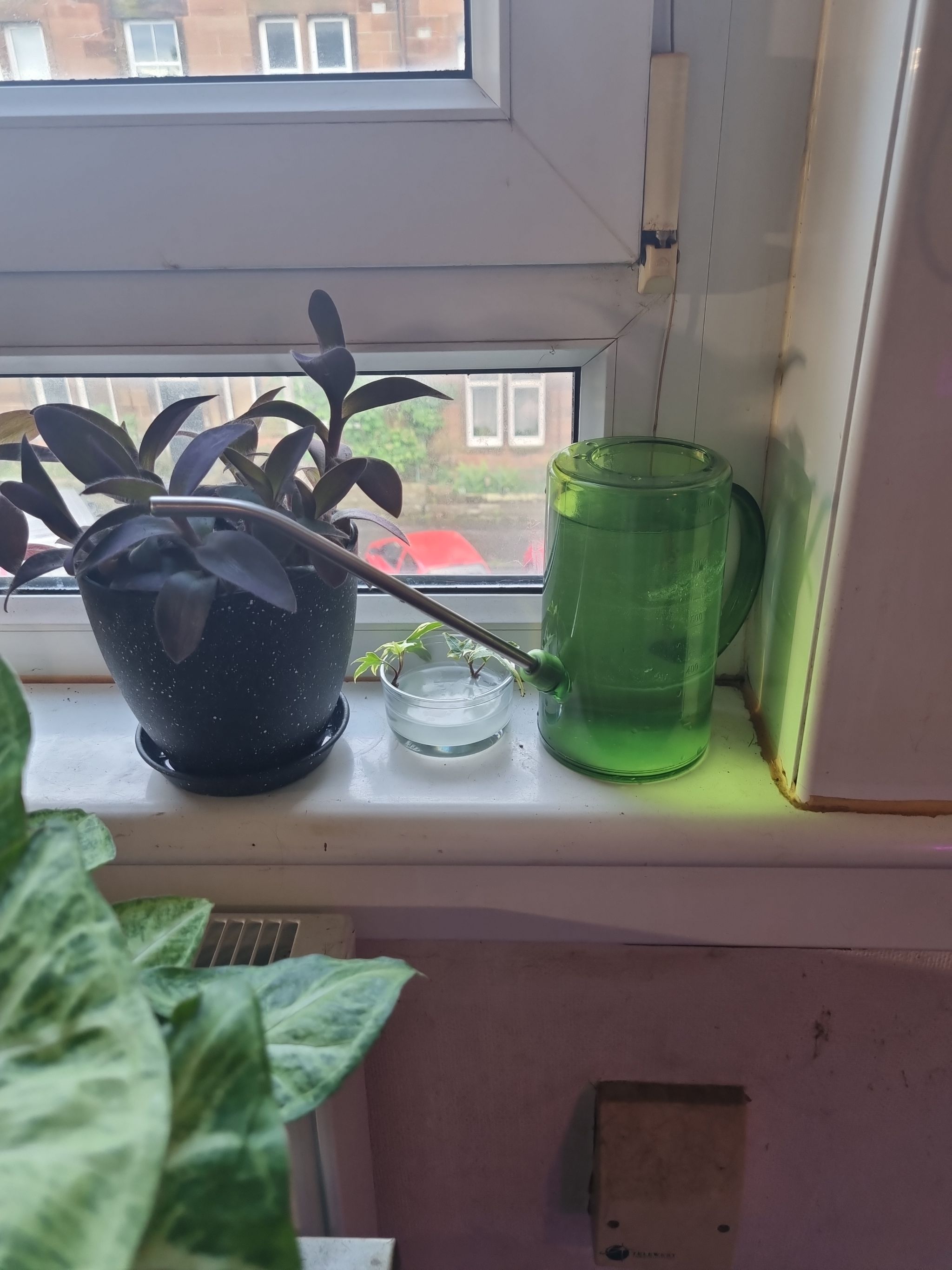 Photo from the post