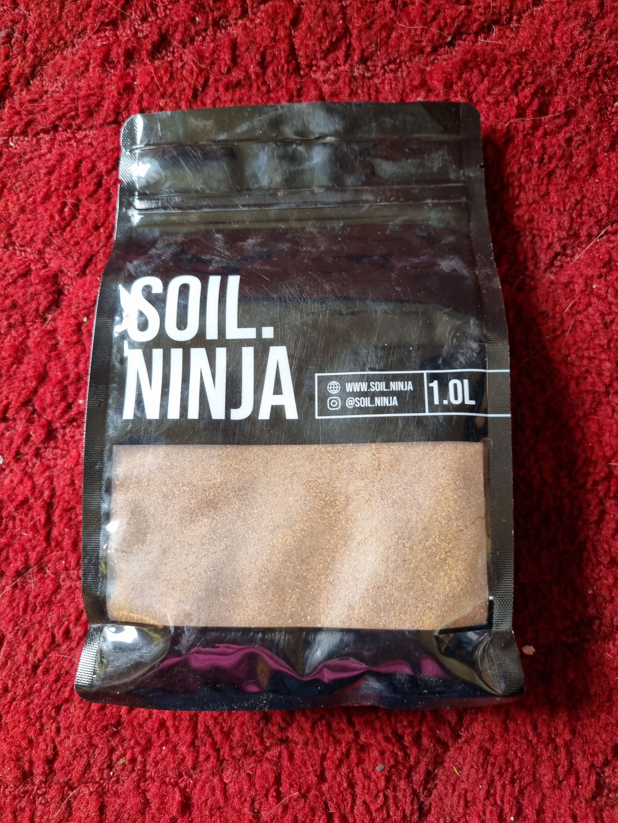 Photo from the post