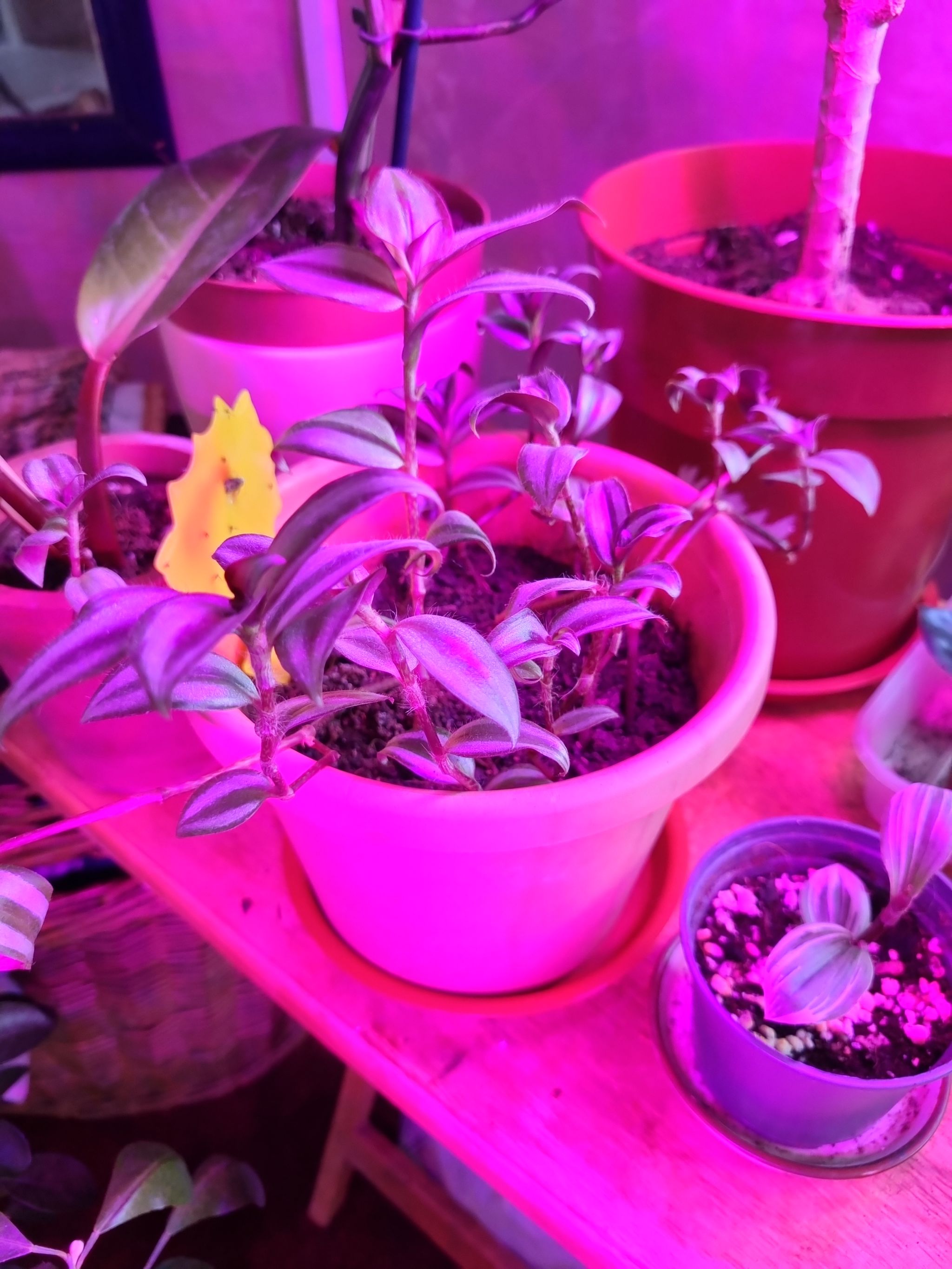 Photo from the post