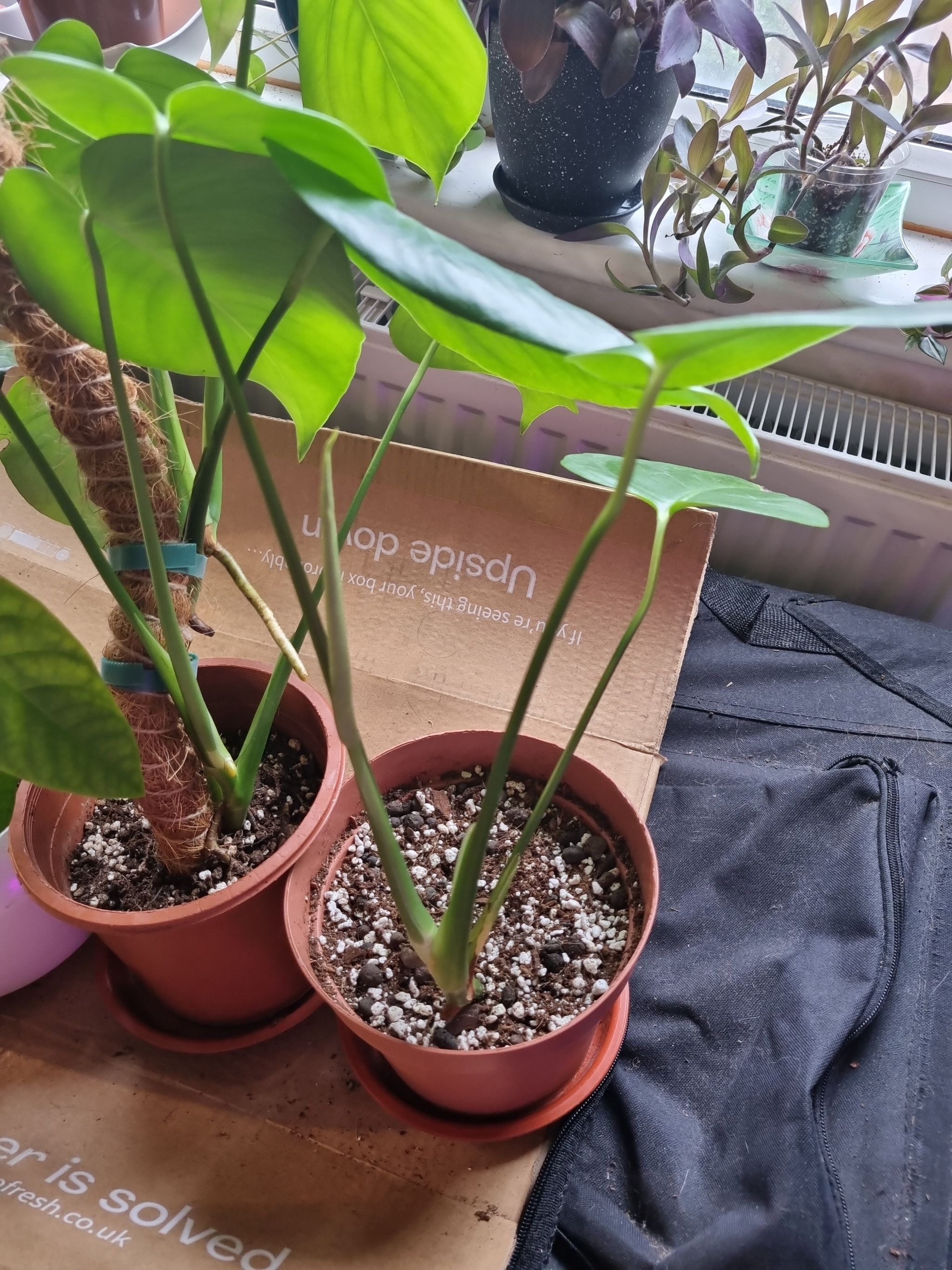 Photo from the post