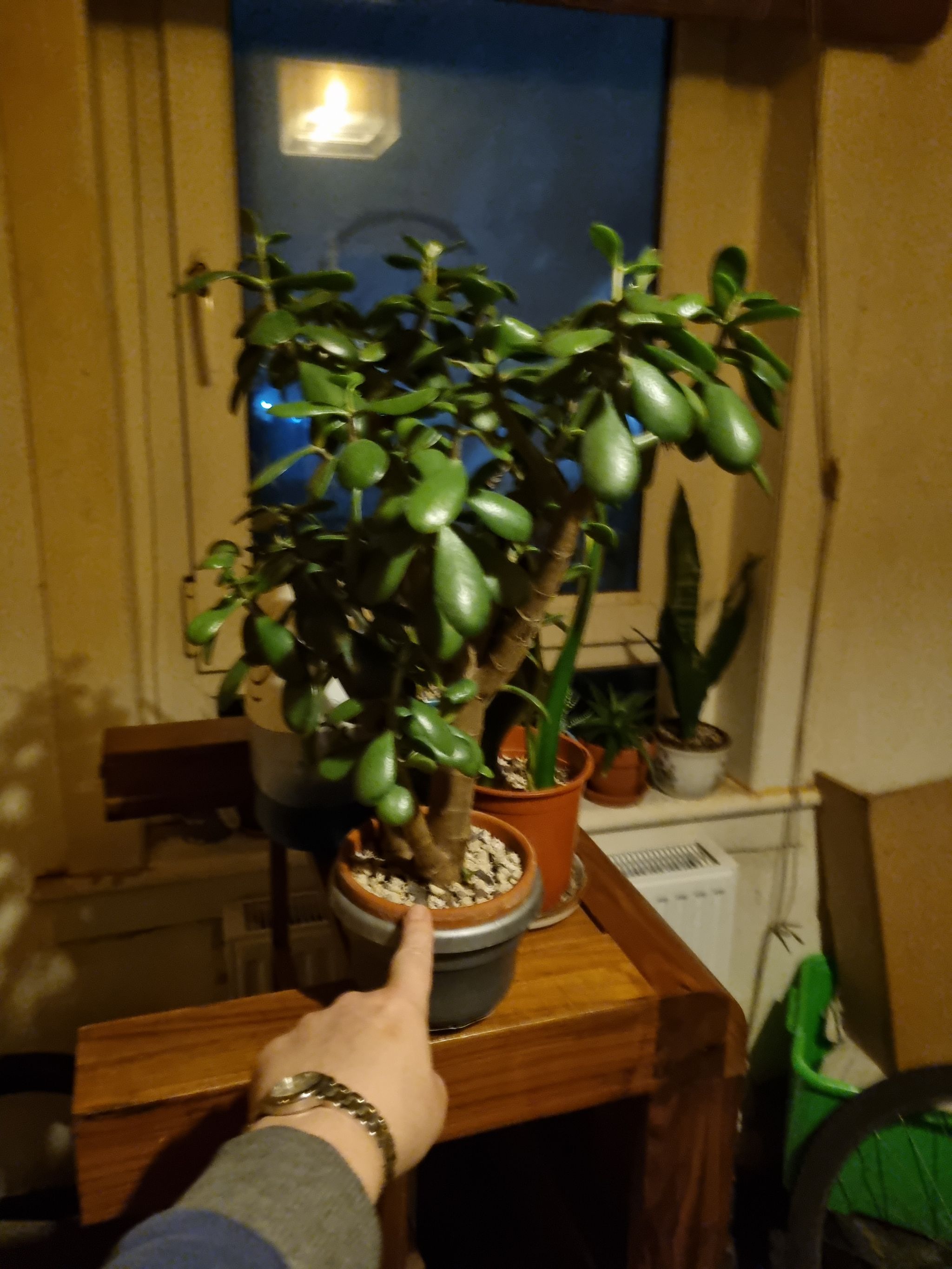 Photo from the post