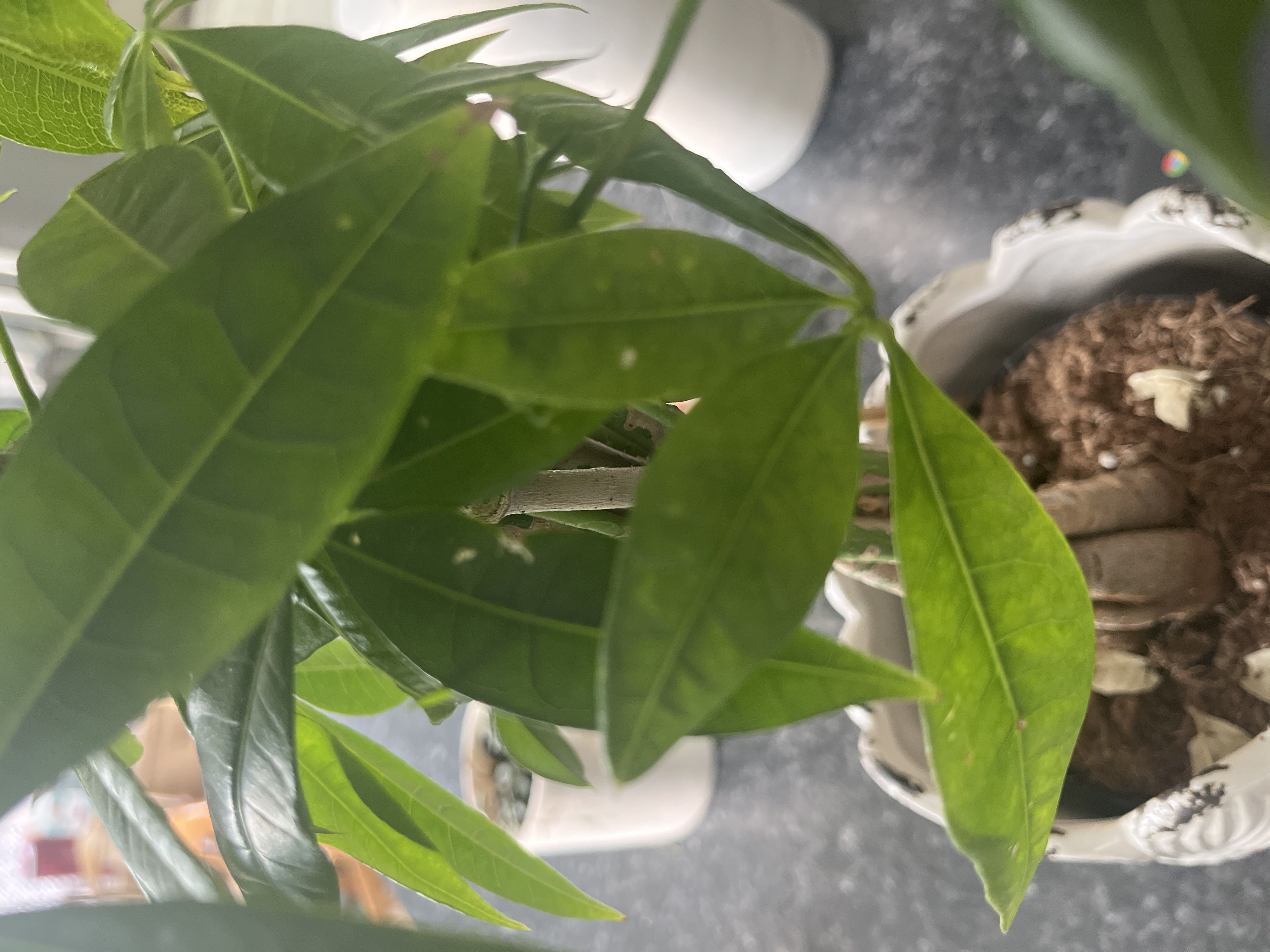 Photo from the post