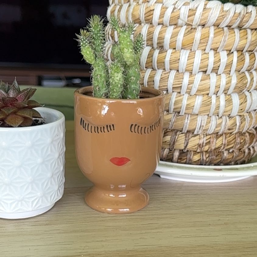 Photo of the plant species Peanut Cactus by @Night_Light named Robert Plant on Greg, the plant care app