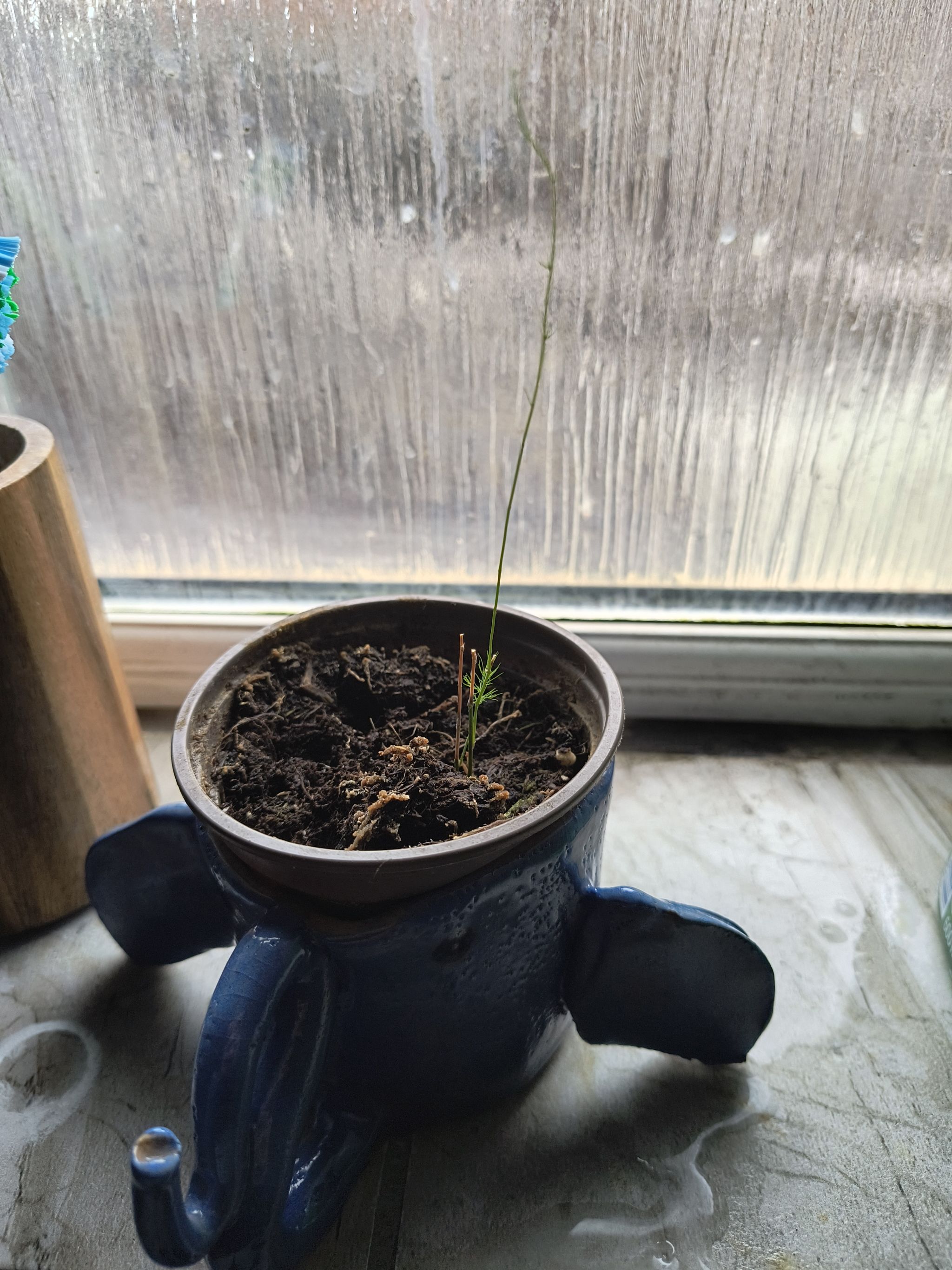 Photo from the post