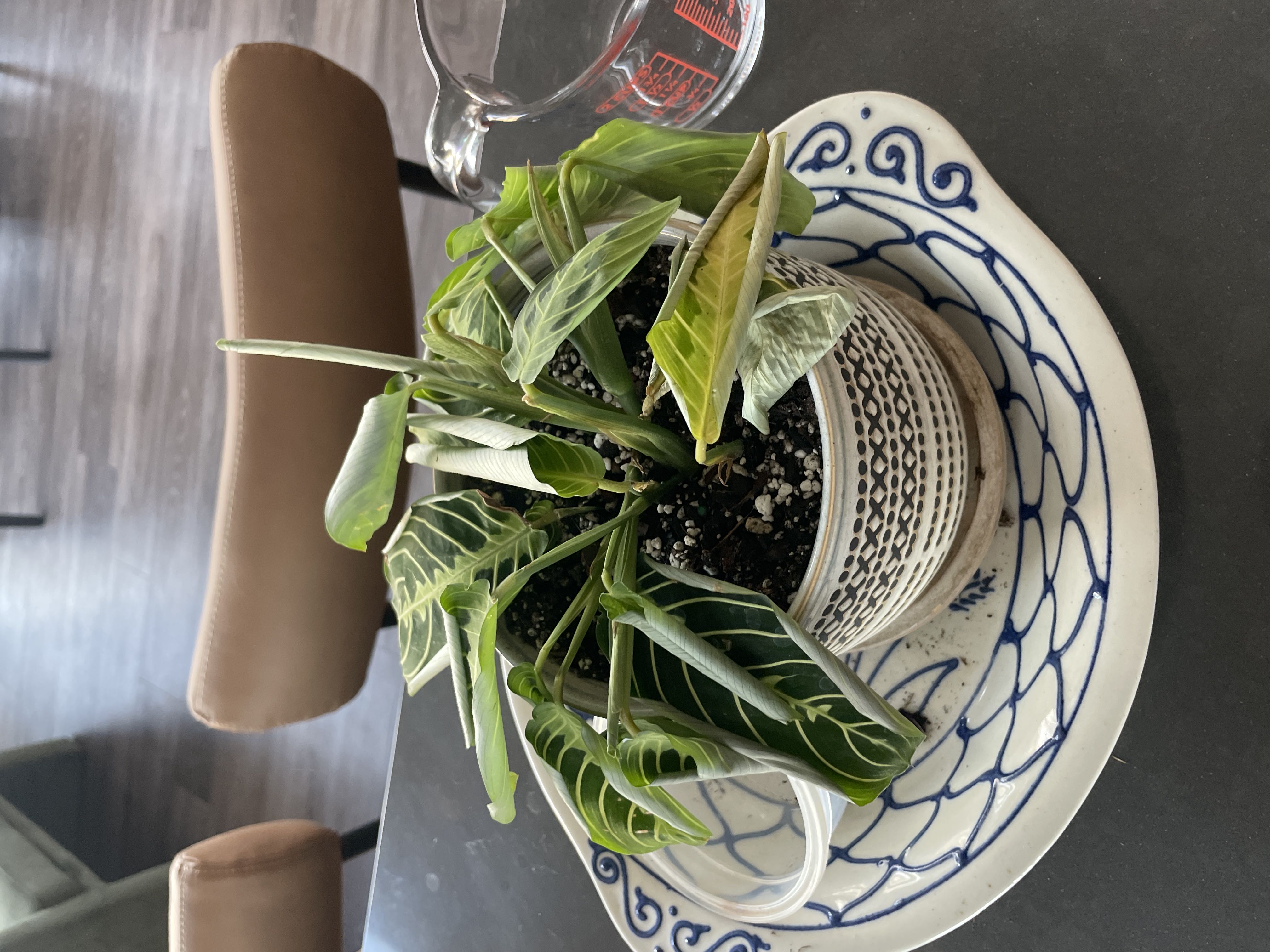 Photo from the post