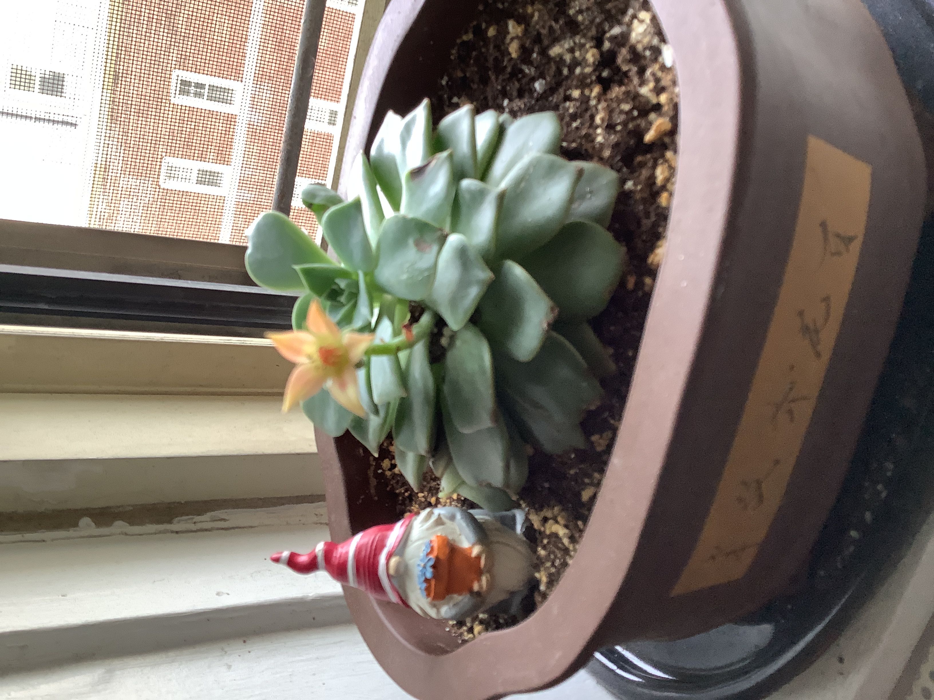 Photo from the post