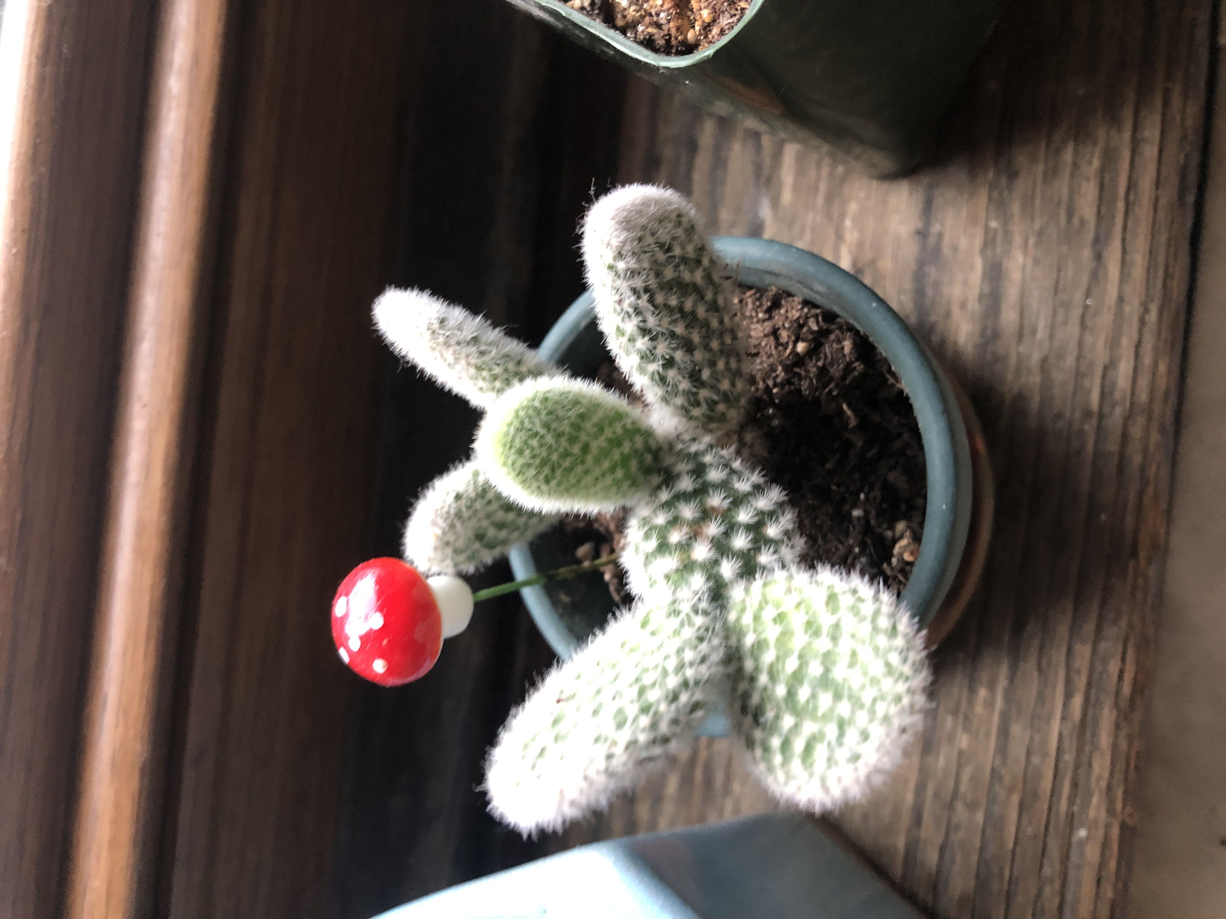 Photo from the post