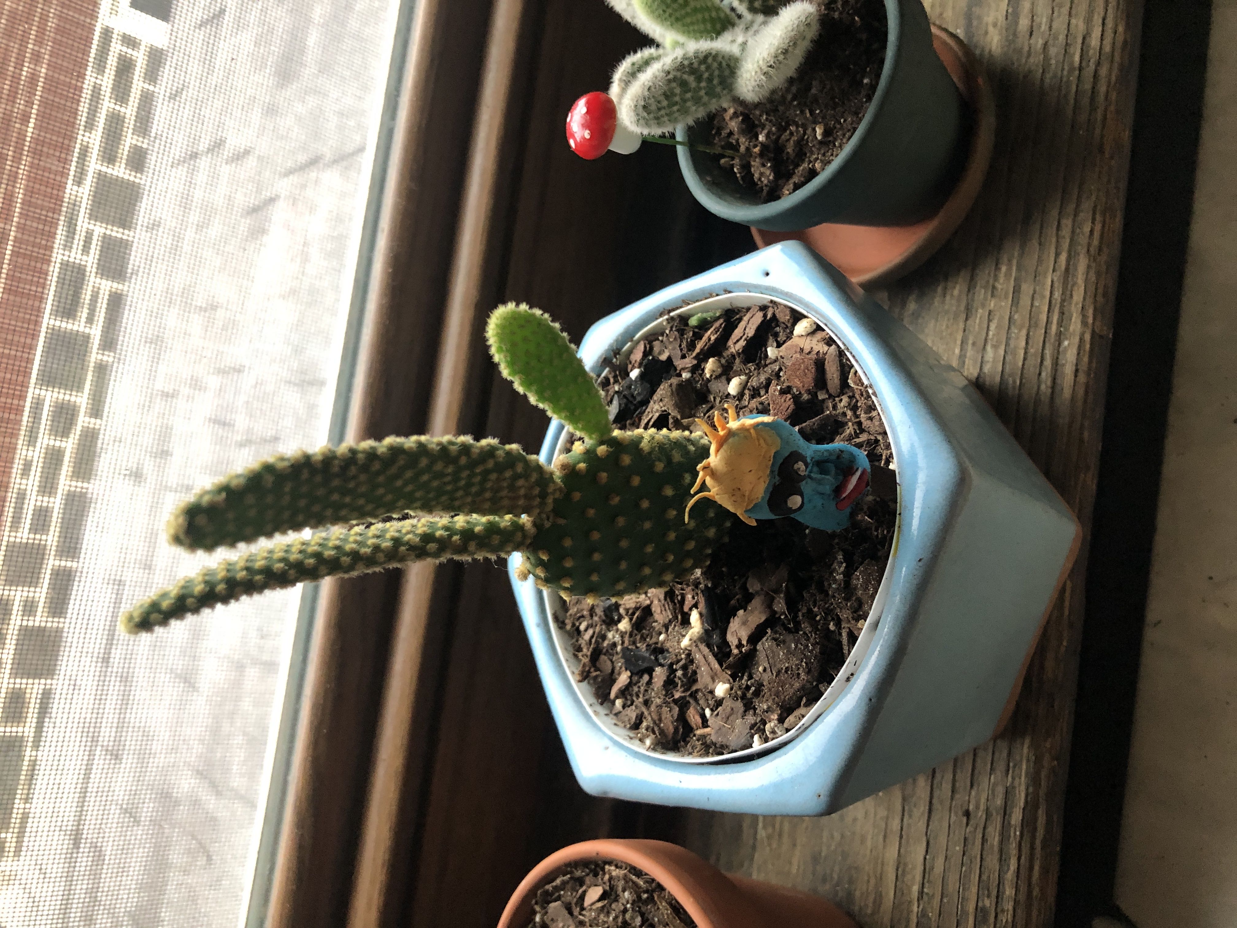 Photo from the post