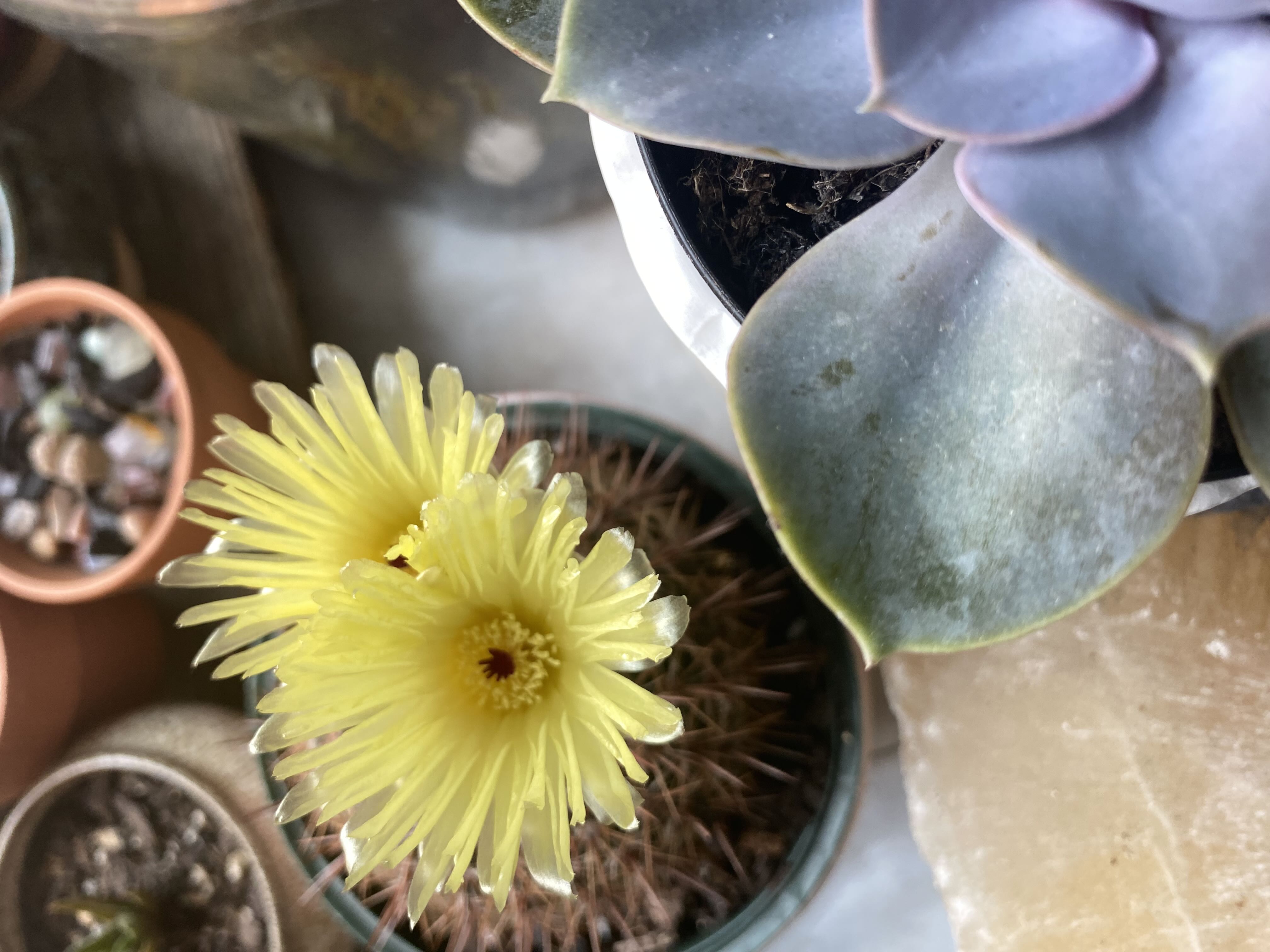 Photo from the post