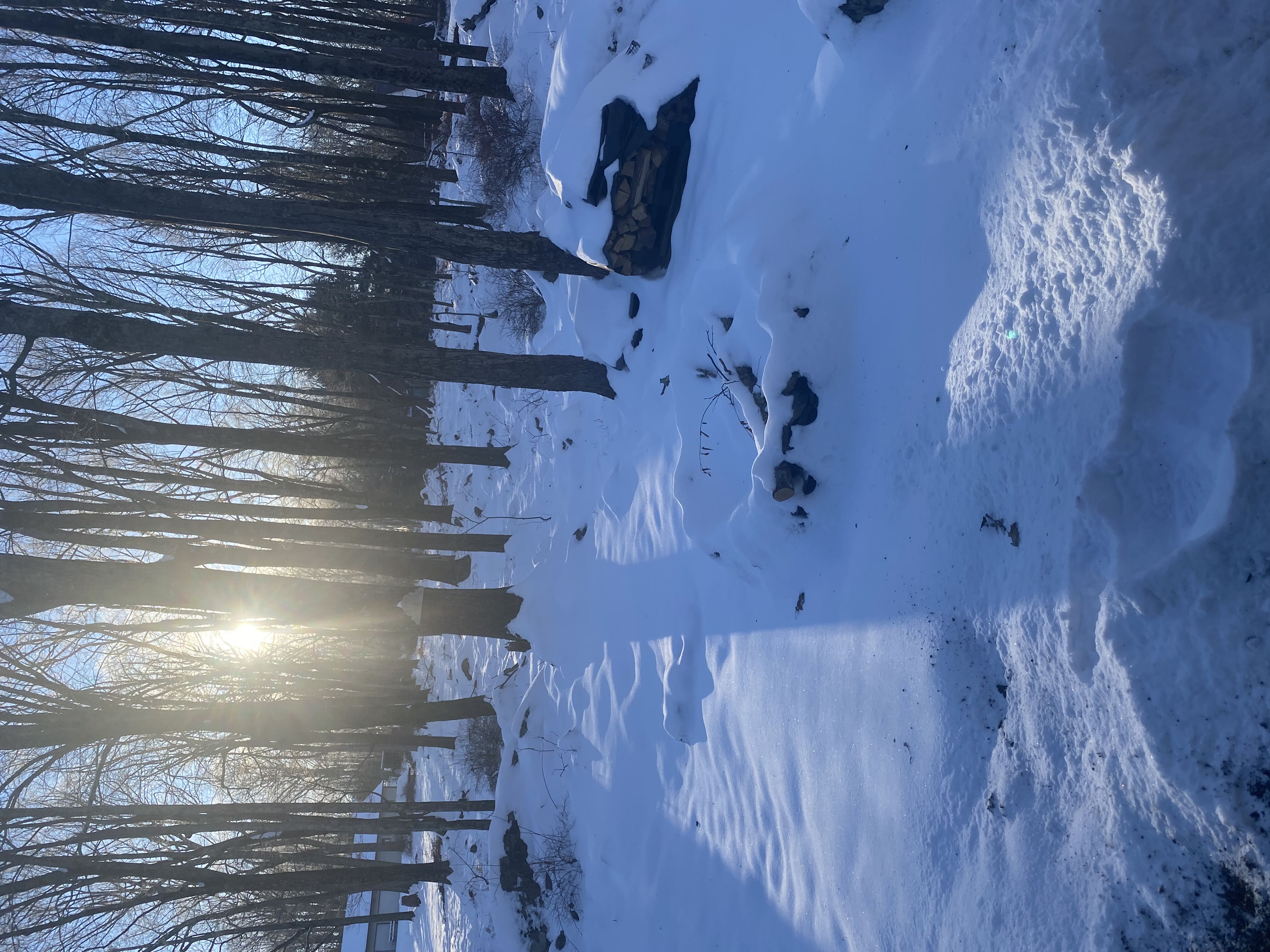 Photo from the post