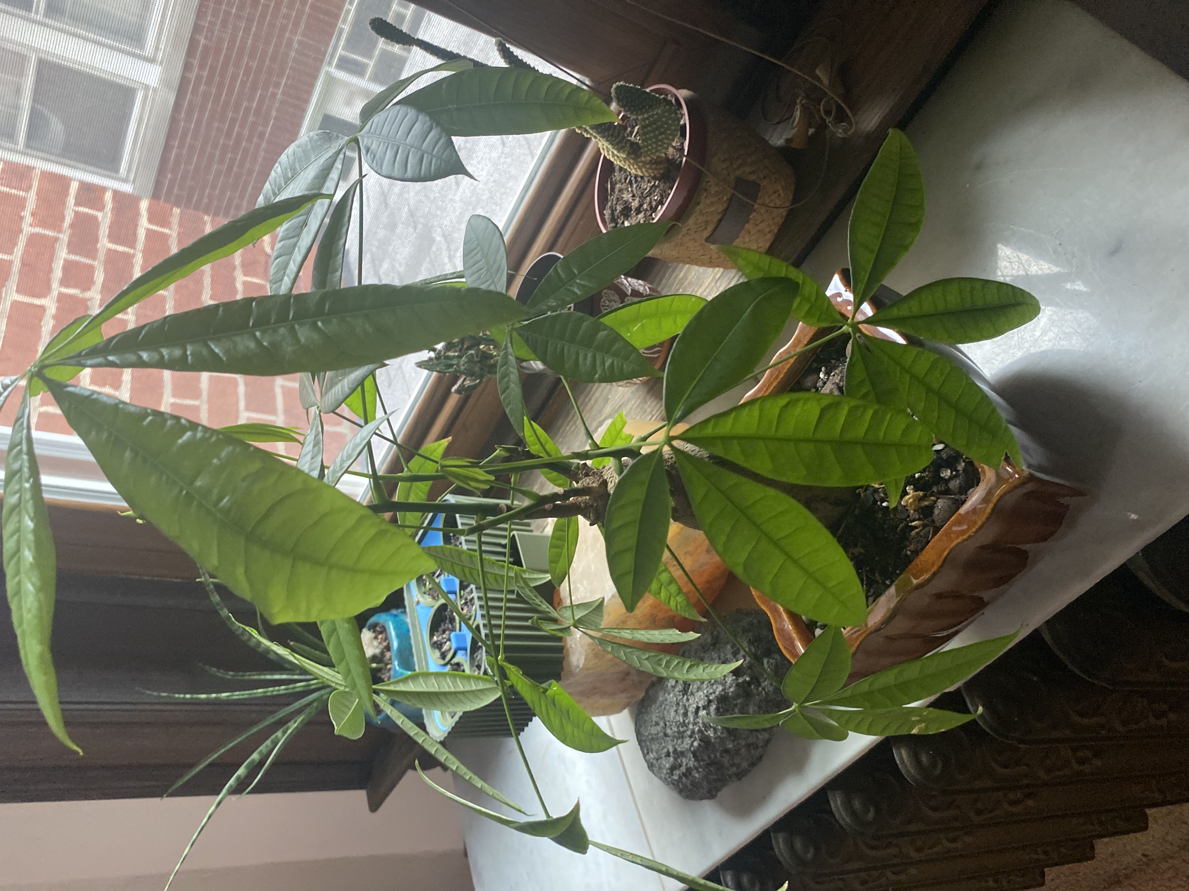 Photo from the post