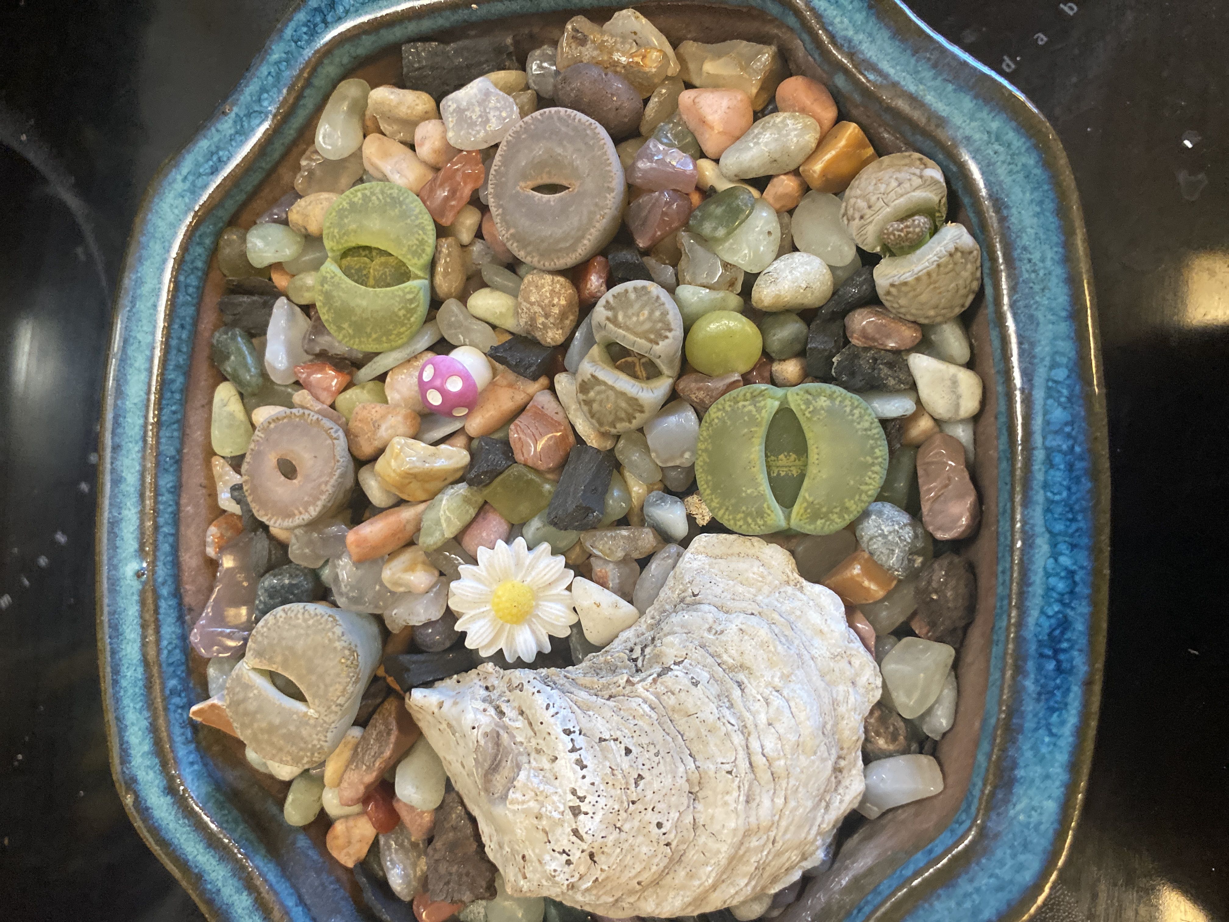 Photo from the post