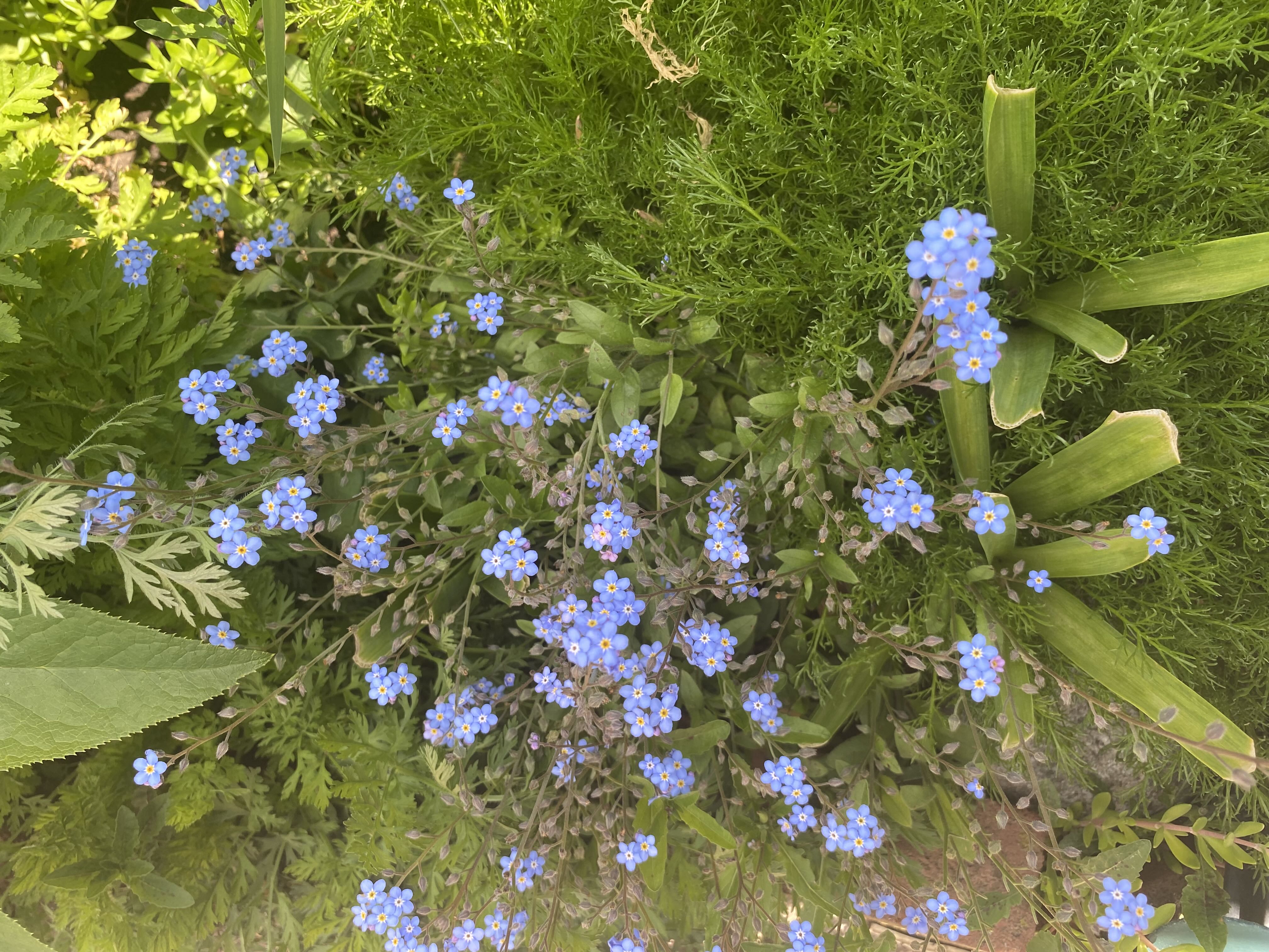 Photo from the post