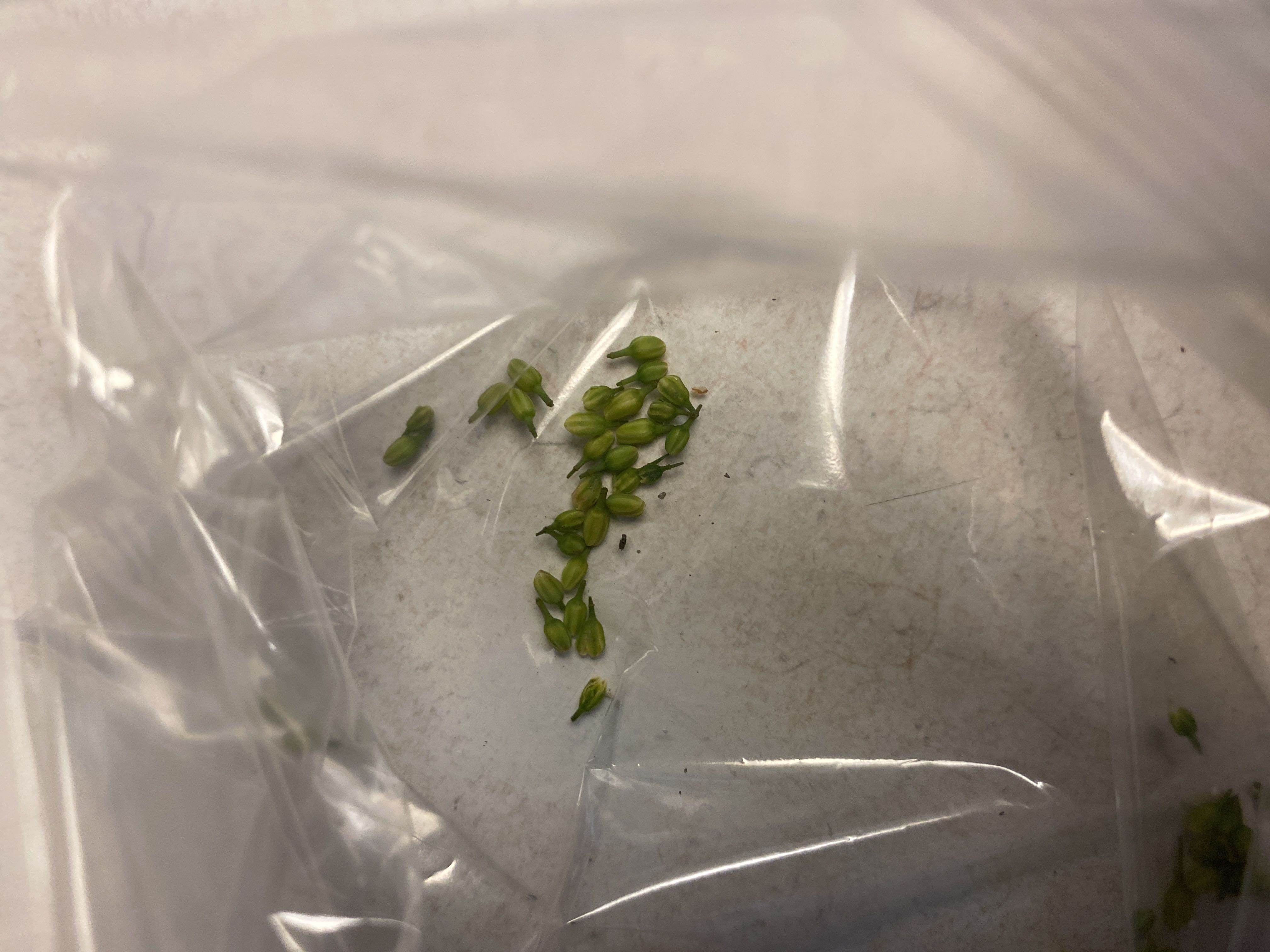 Photo from the post