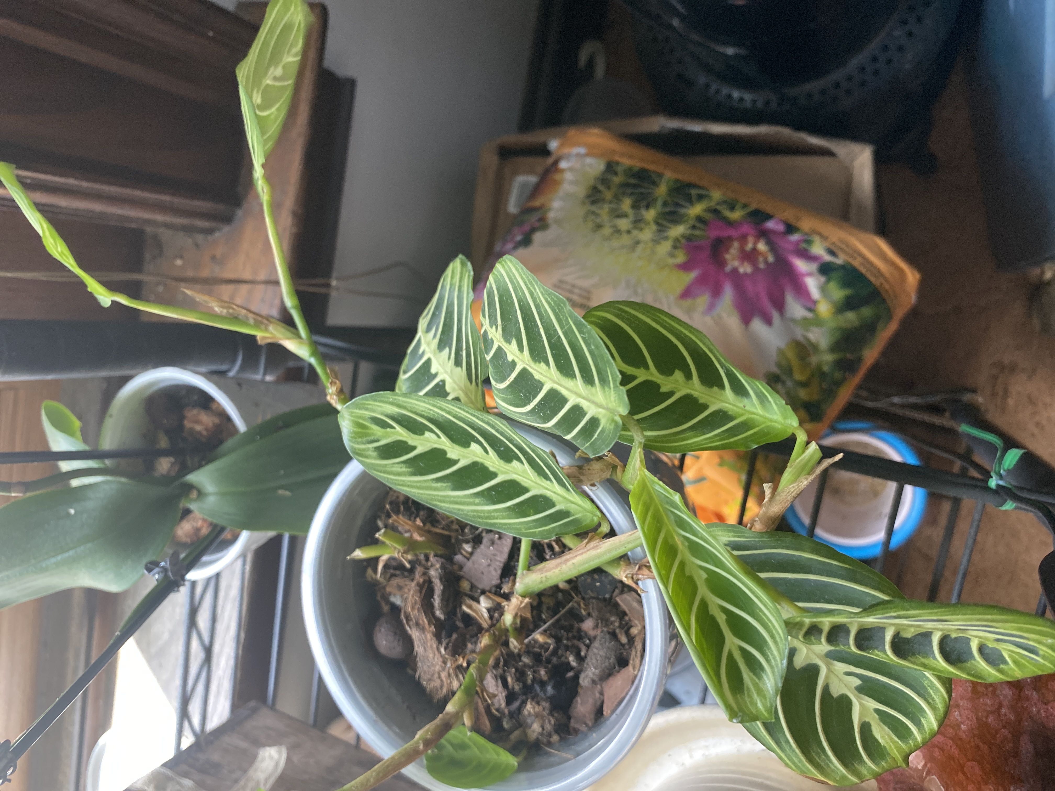 Photo from the post