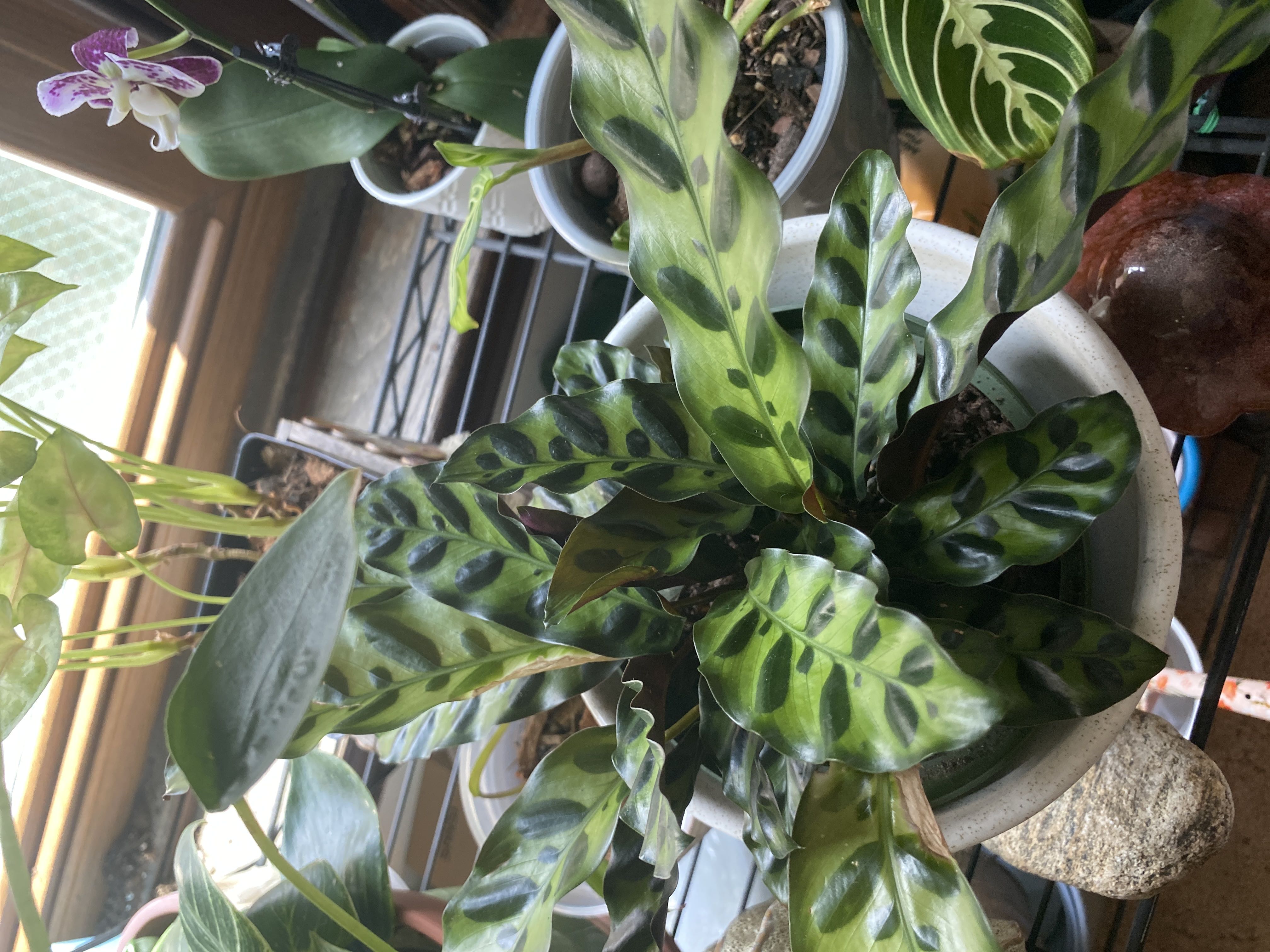 Photo from the post