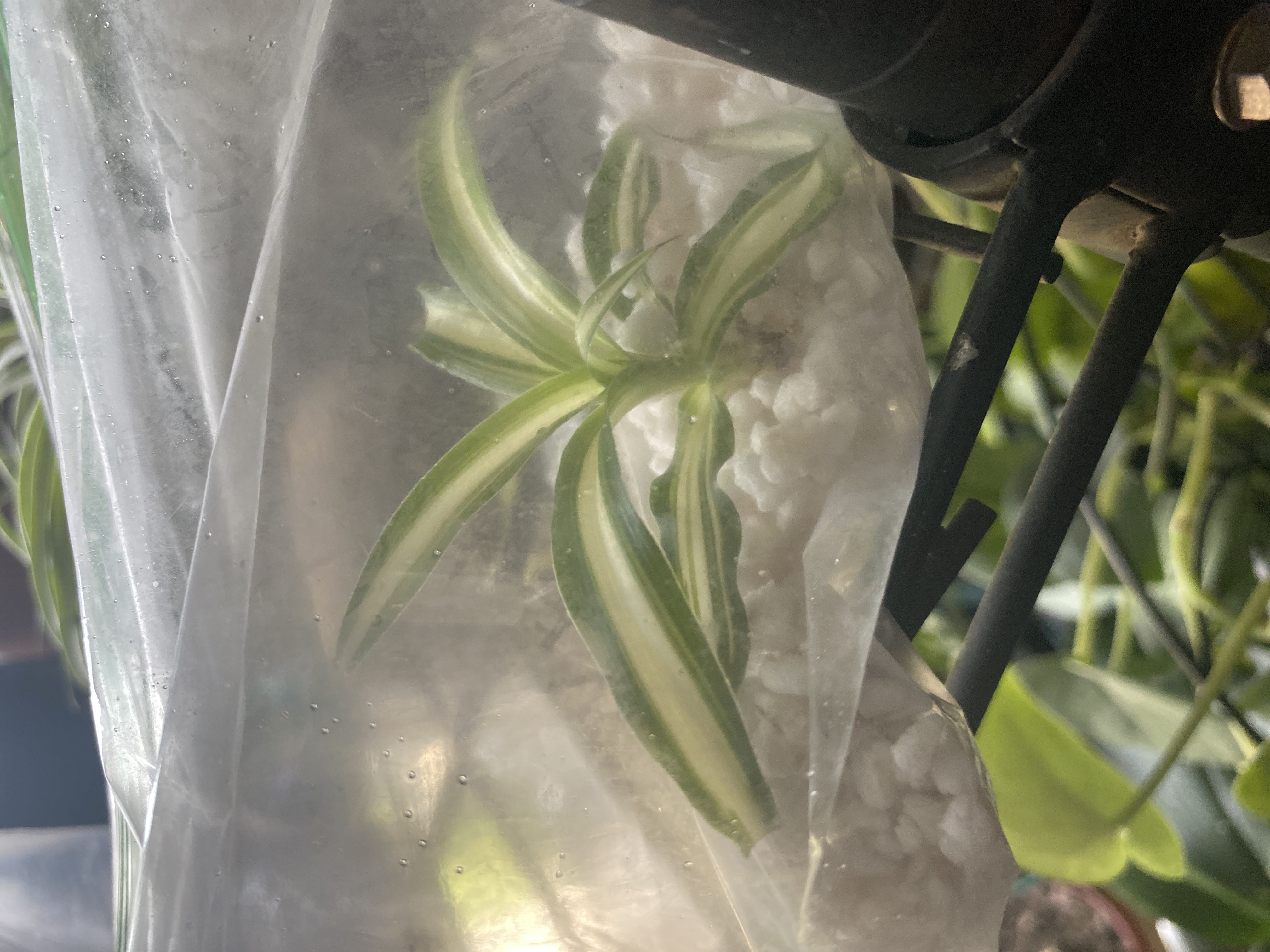 Photo from the post