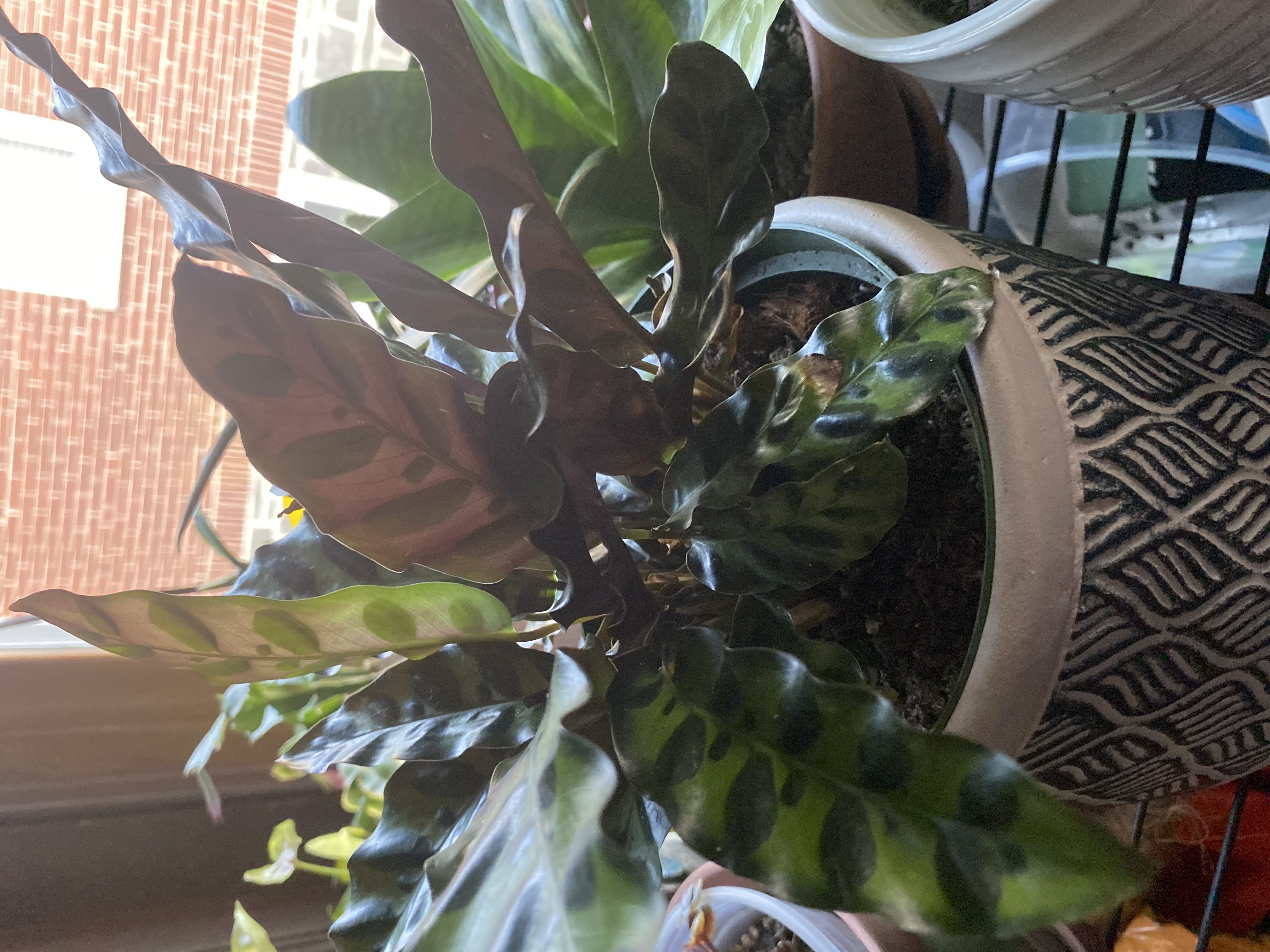 Photo from the post