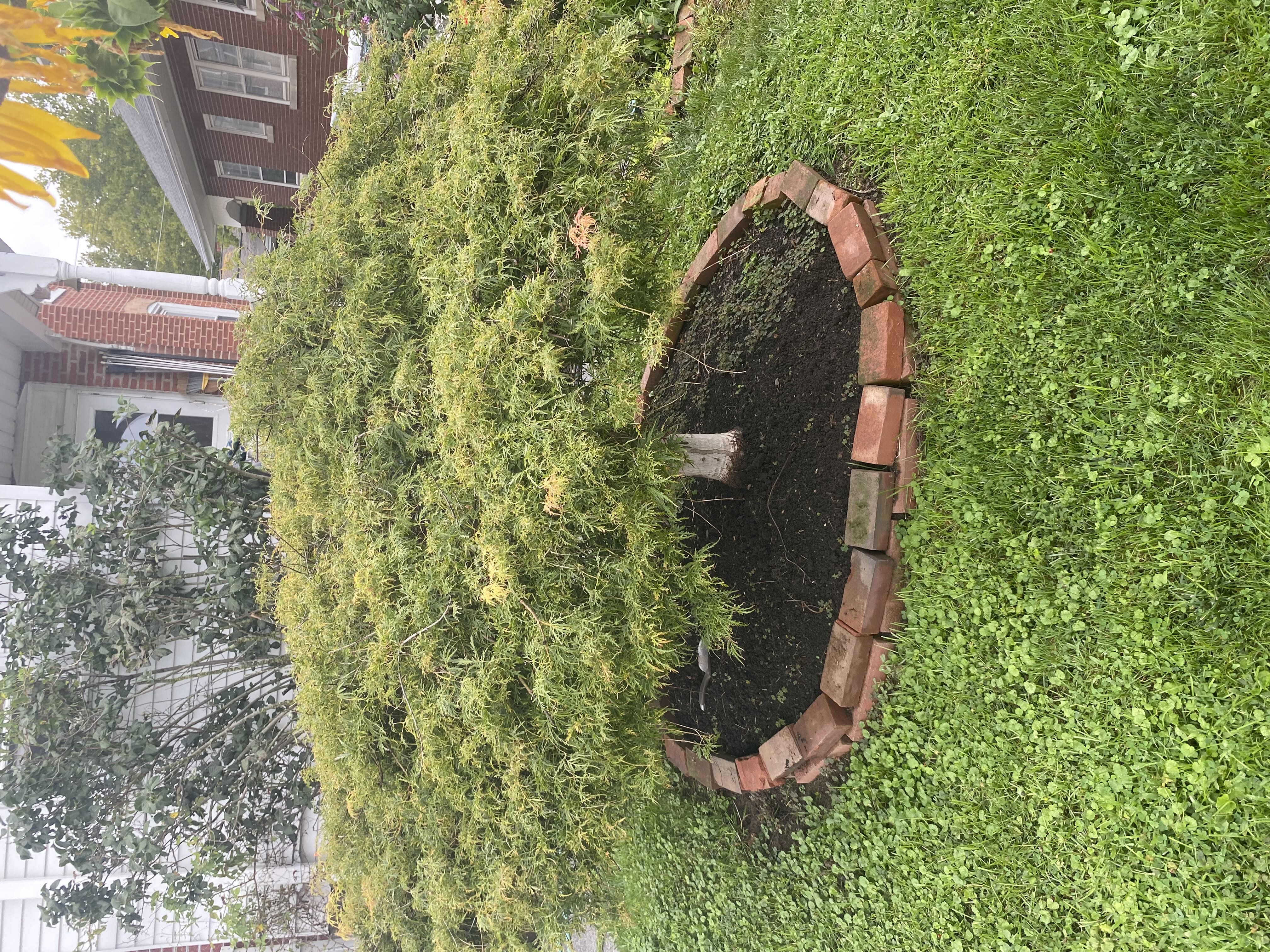Photo from the post