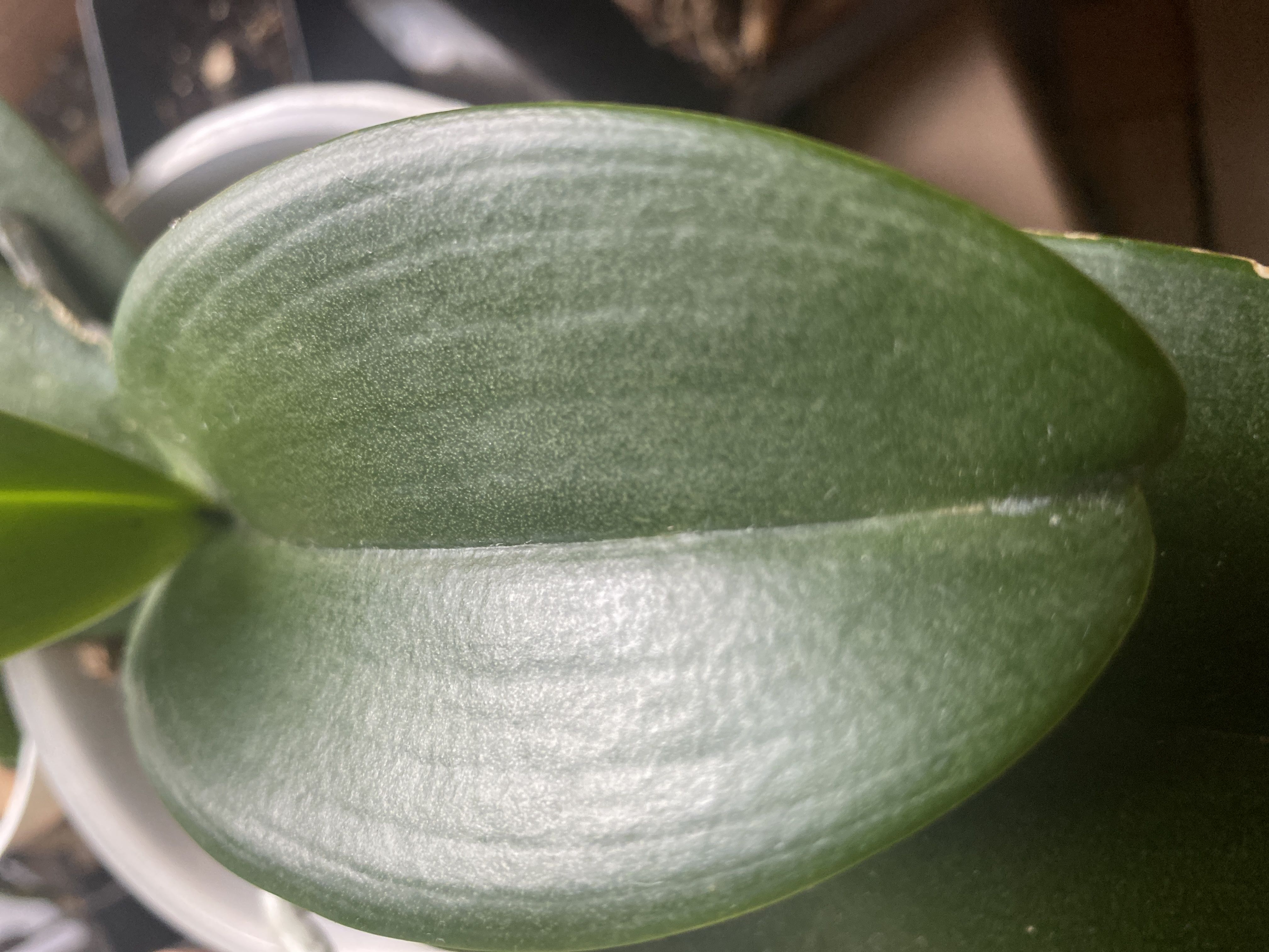 Photo from the post