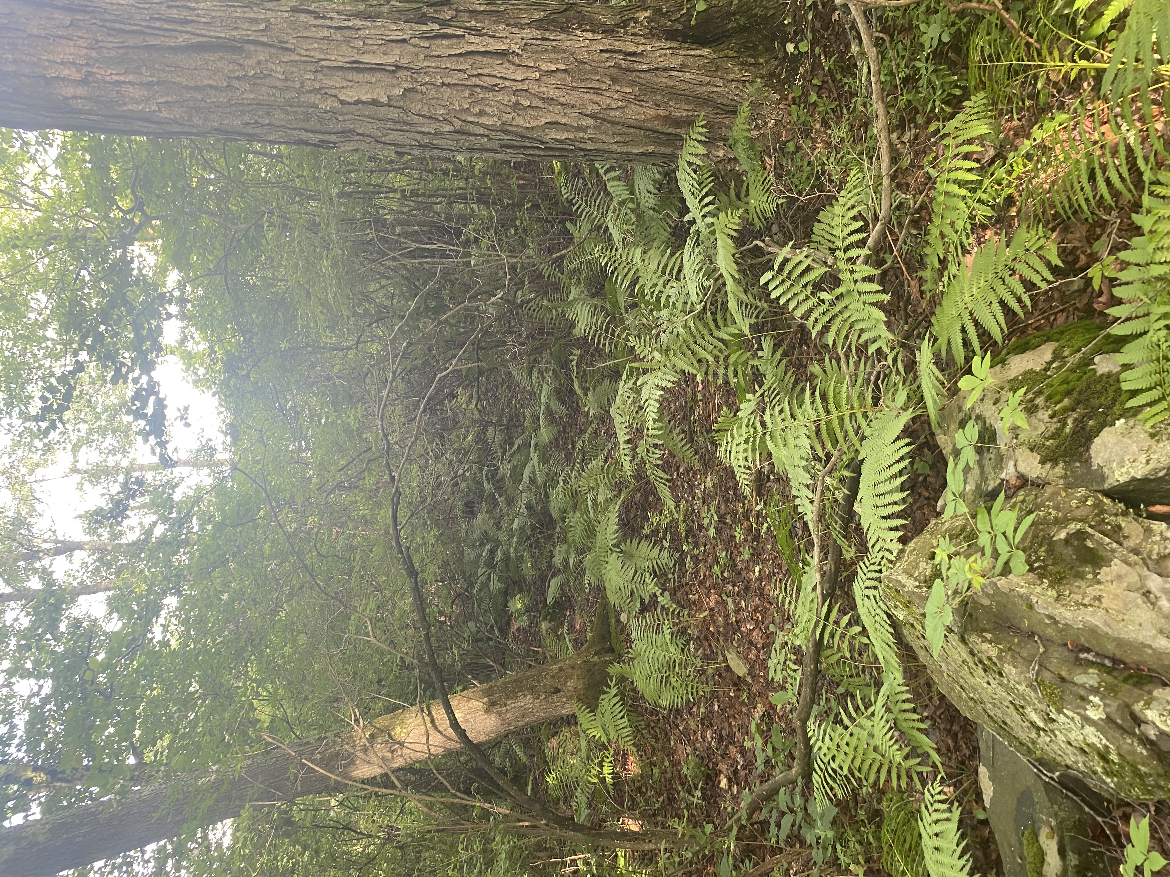 Photo from the post