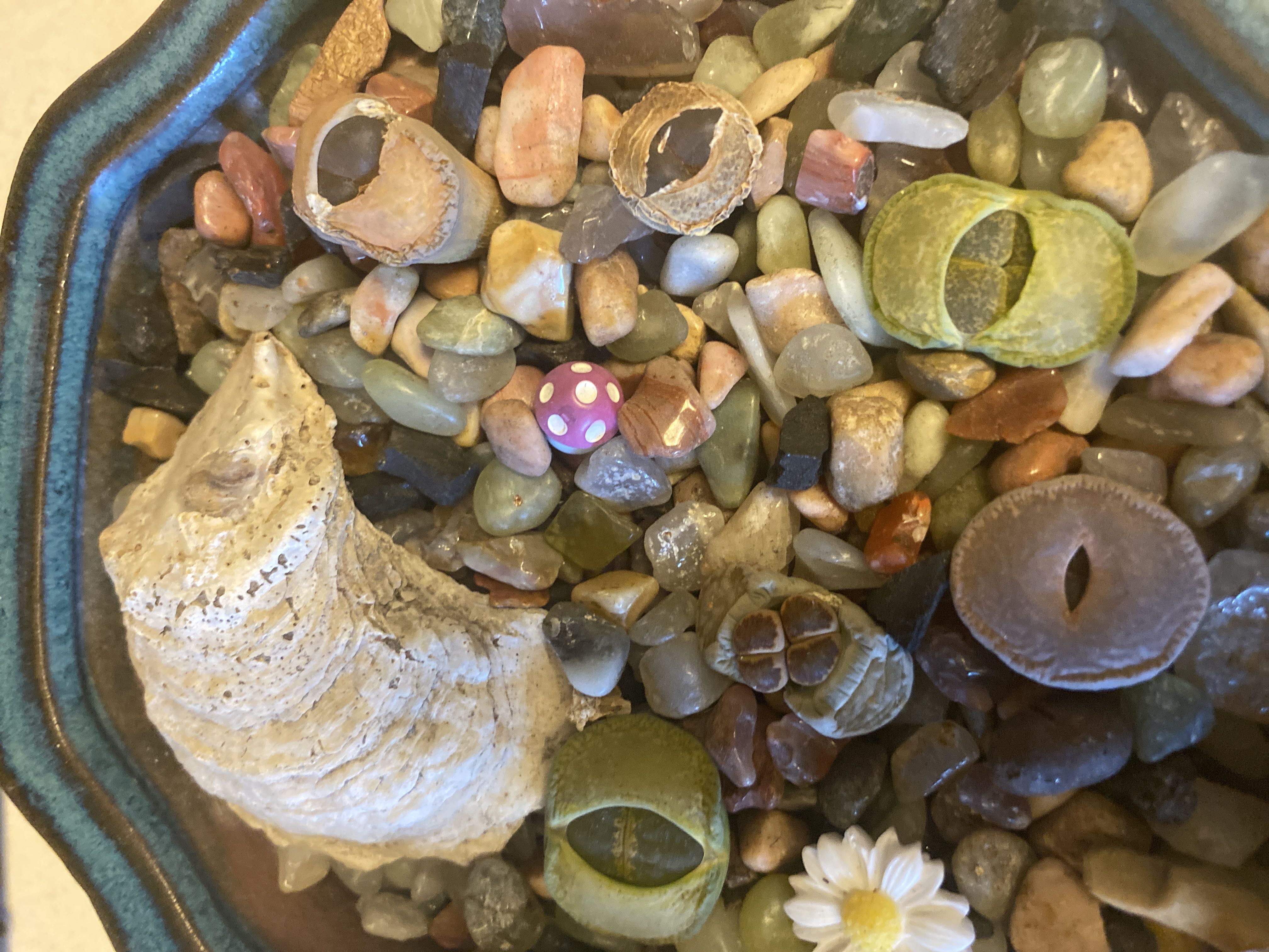 Photo from the post