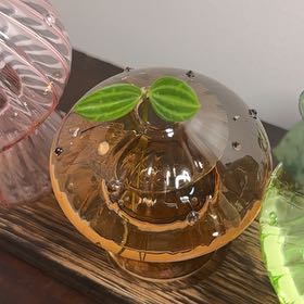 Photo of the plant species Beetle Peperomia by @GodlyGreenbeans named Osmo on Greg, the plant care app