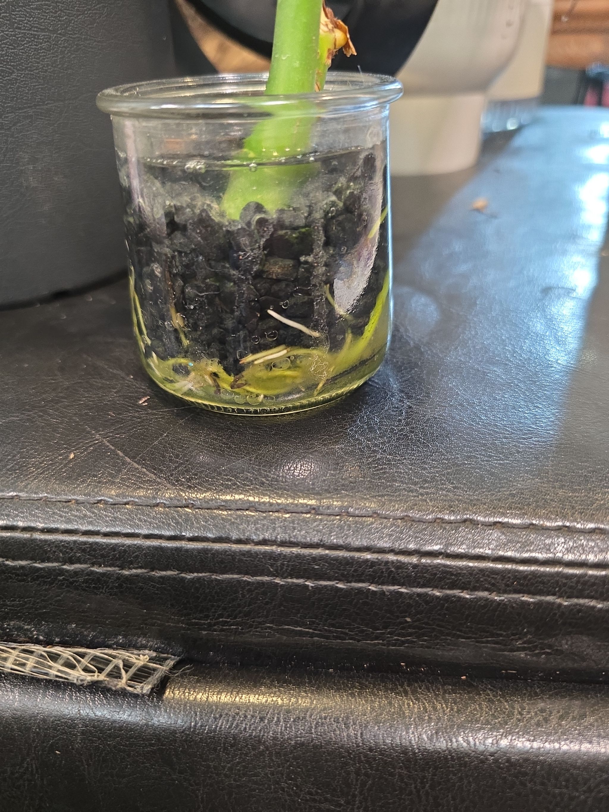 Photo from the post
