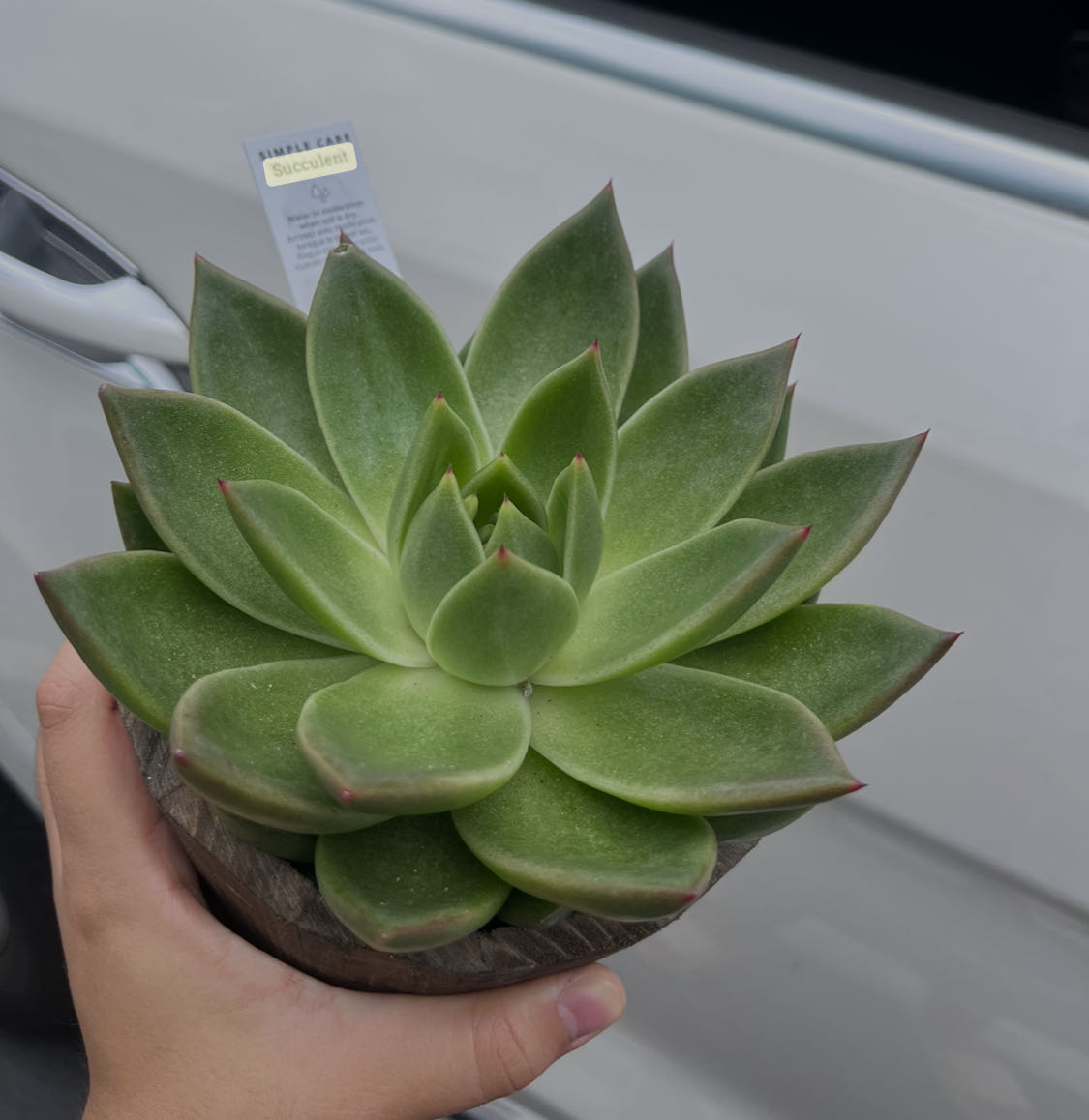 Photo from the post
