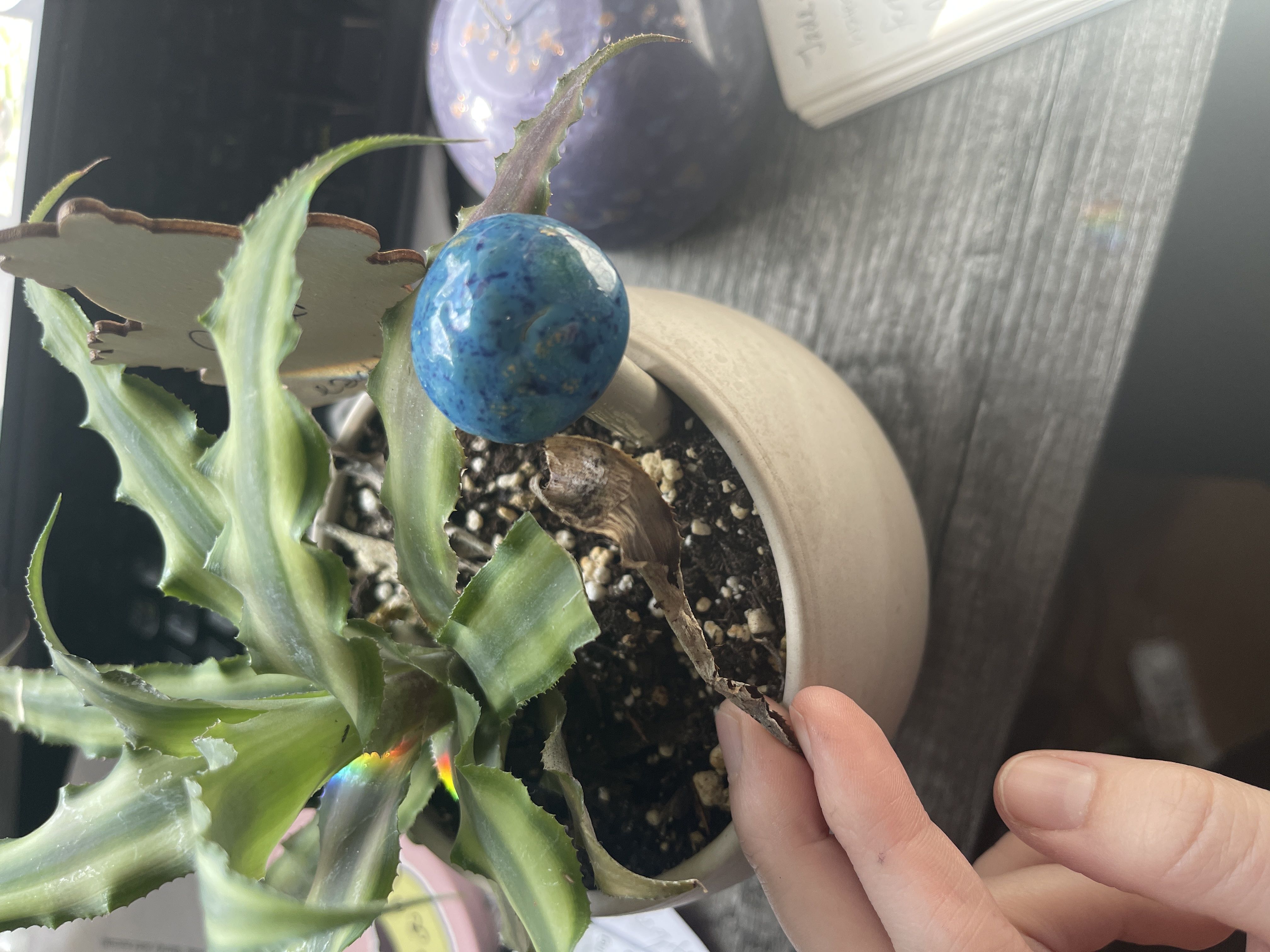 Photo from the post
