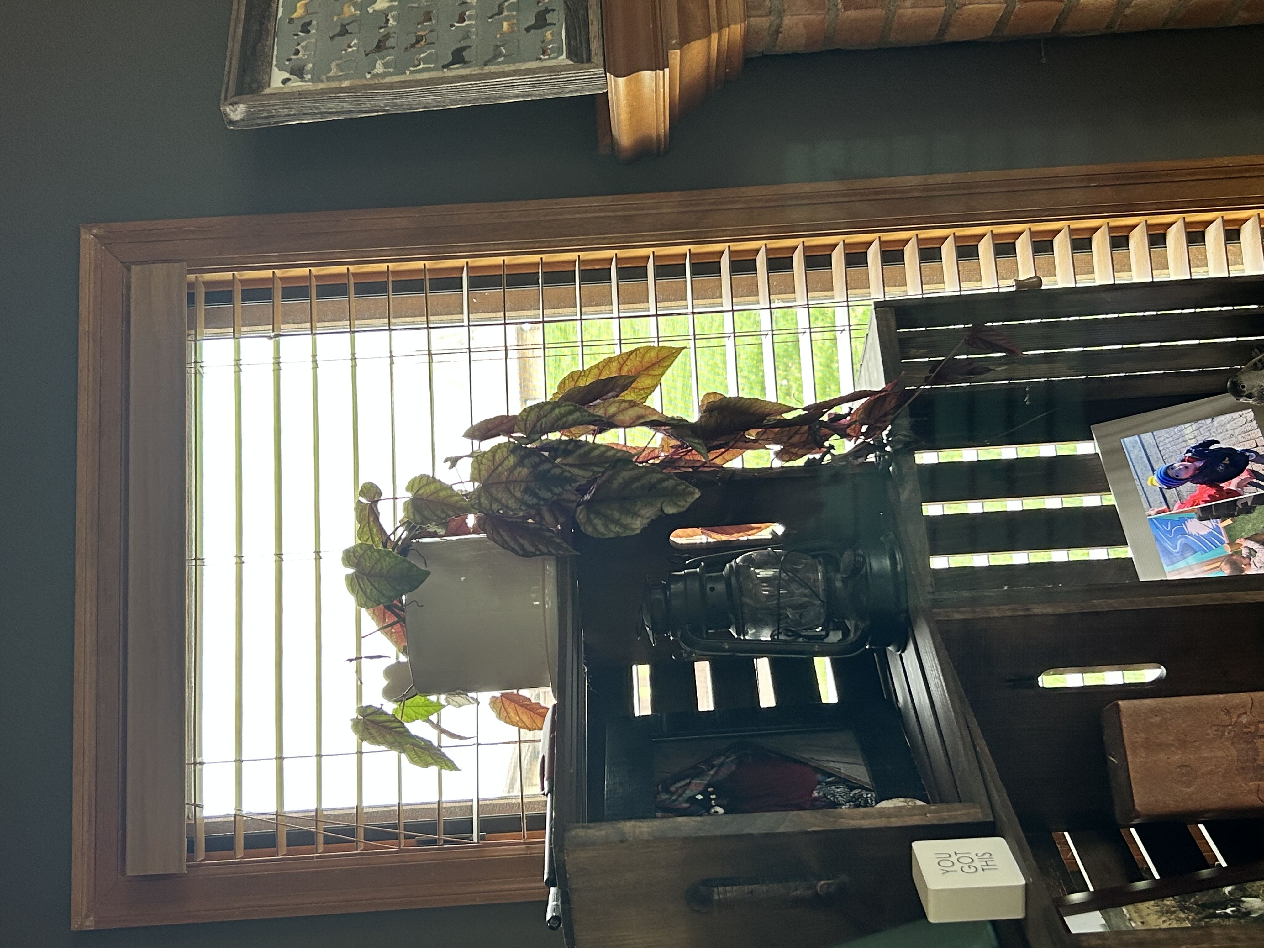 Photo from the post