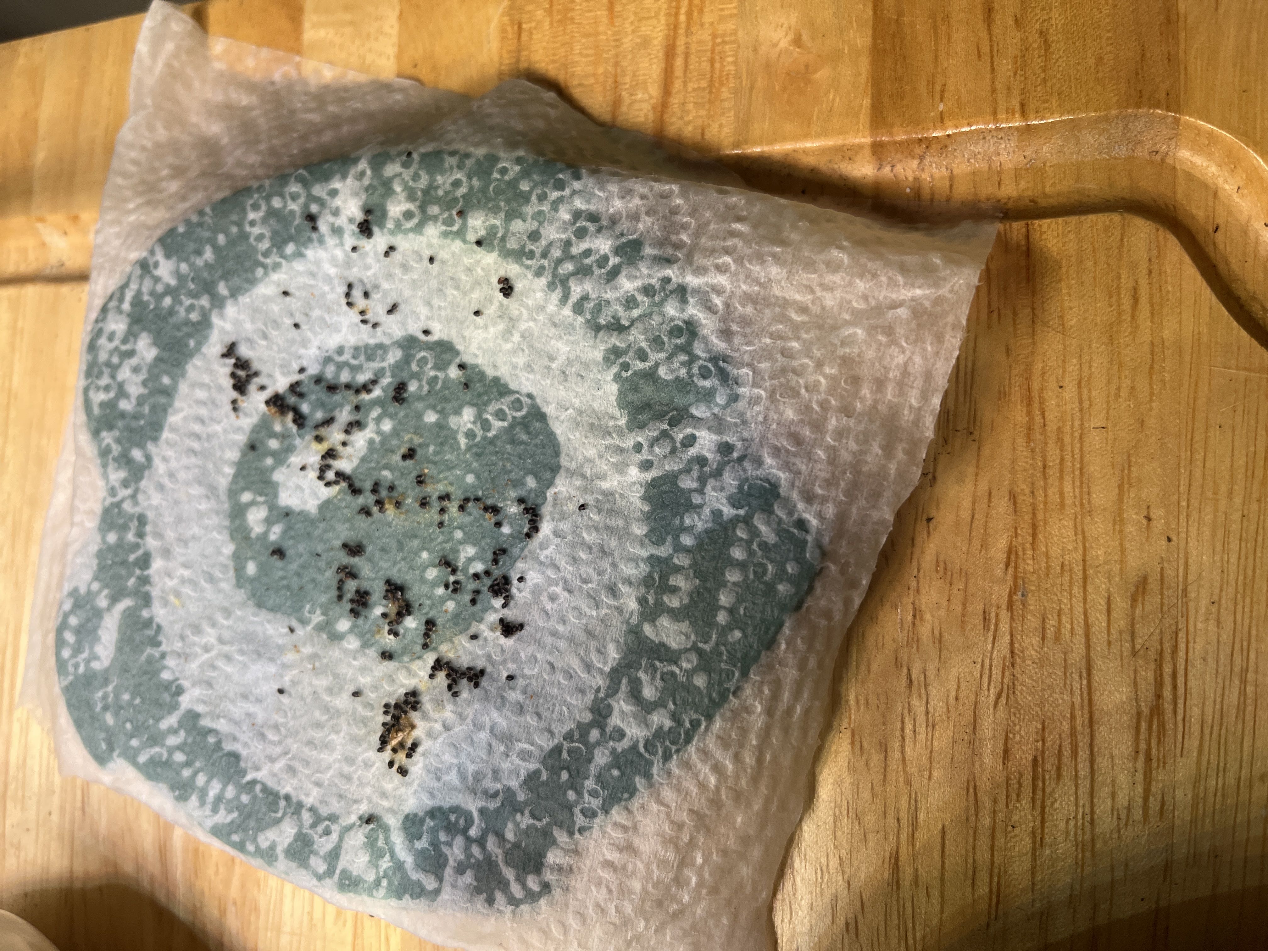 Photo from the post