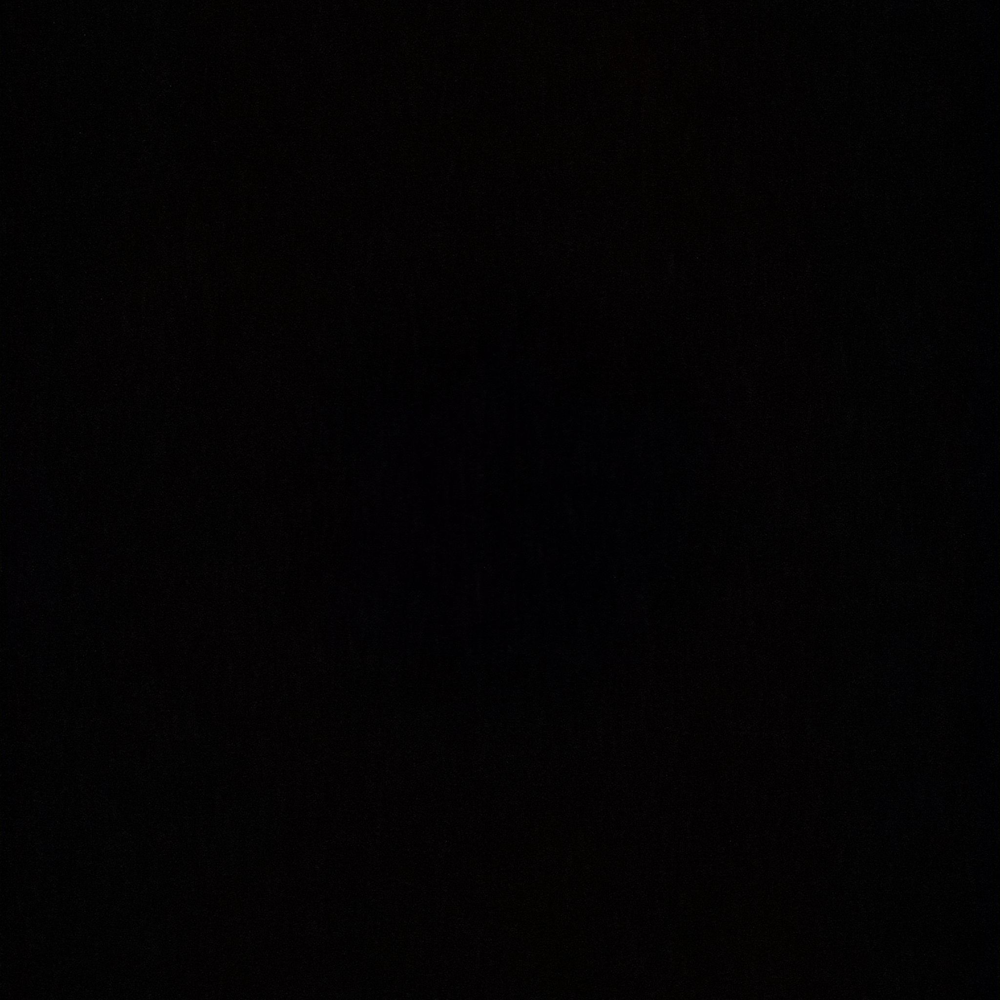 Photo of the plant species sasanqua camellia by @JollyRossavens named Oscar on Greg, the plant care app